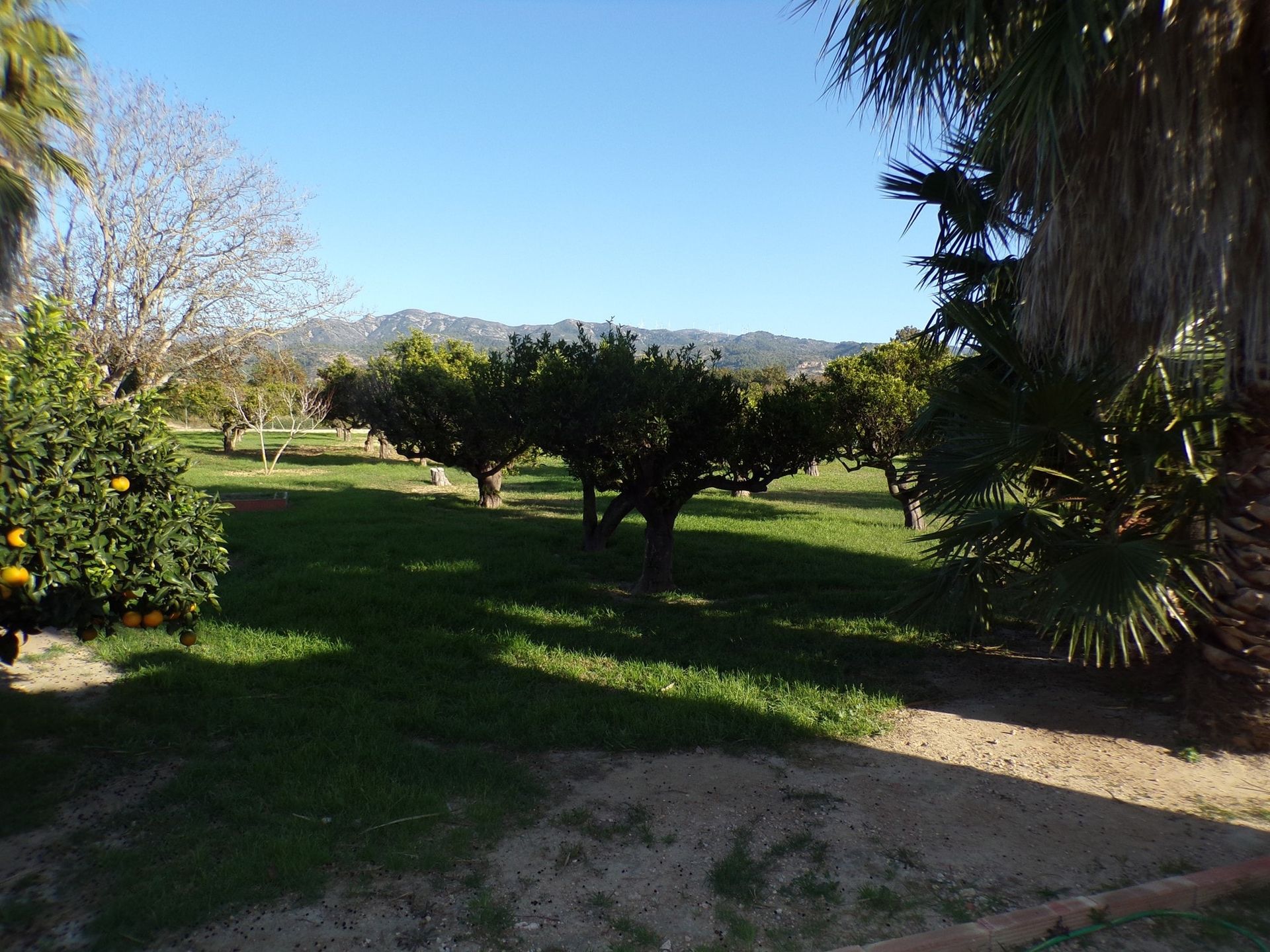 loger dans L'Ampolla, Catalunya 11347029