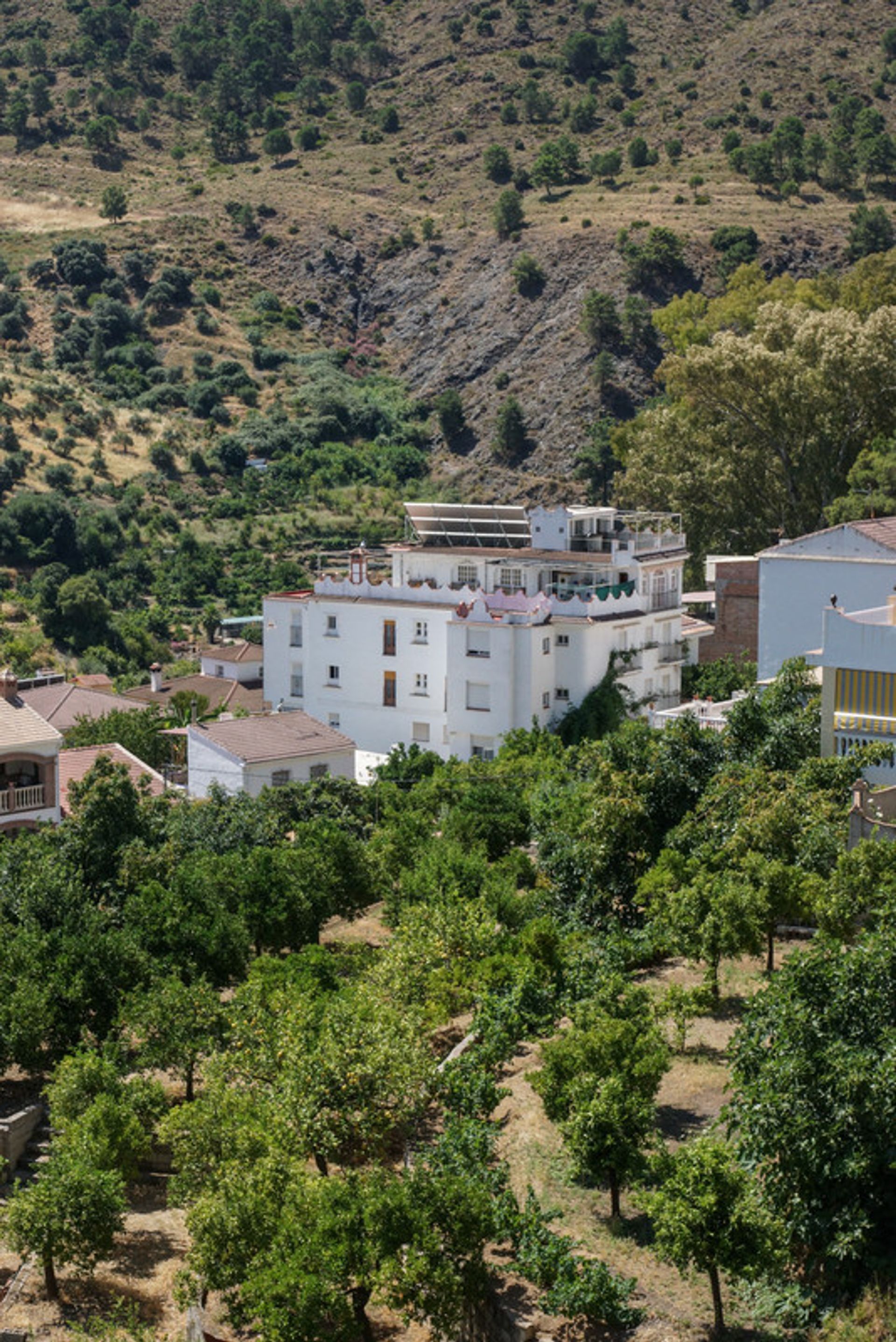 Perindustrian dalam Tolox, Andalucía 11347764