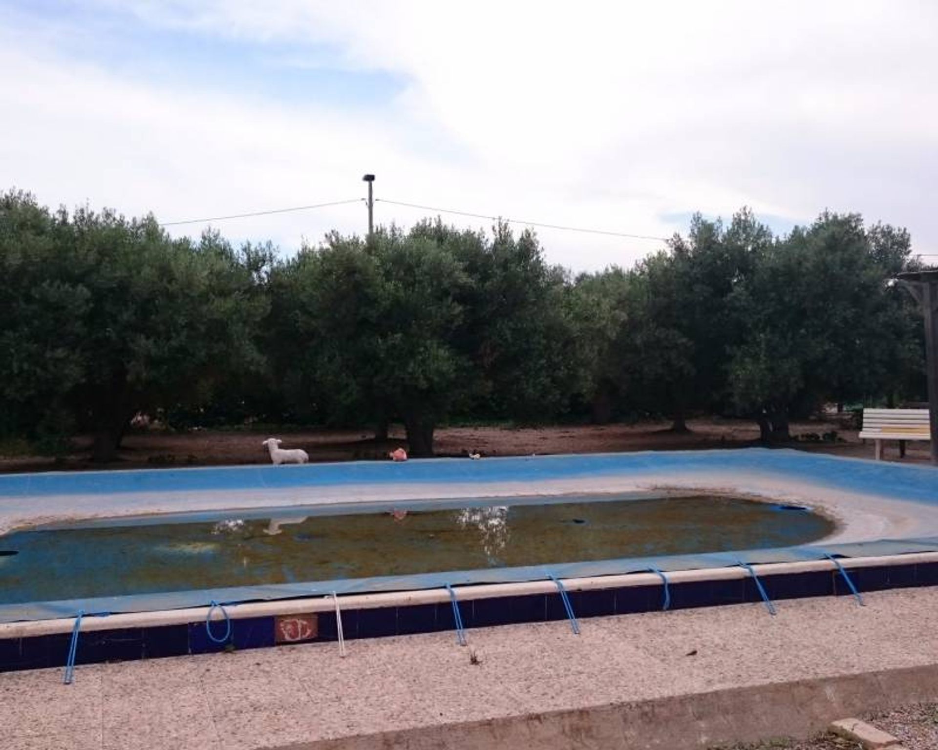 بيت في San Javier, Región de Murcia 11349430