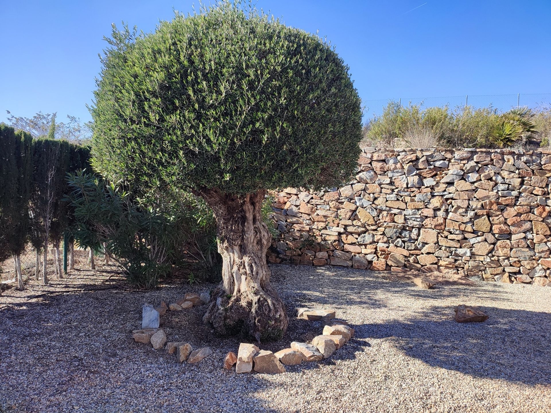 жилой дом в , Región de Murcia 11350317