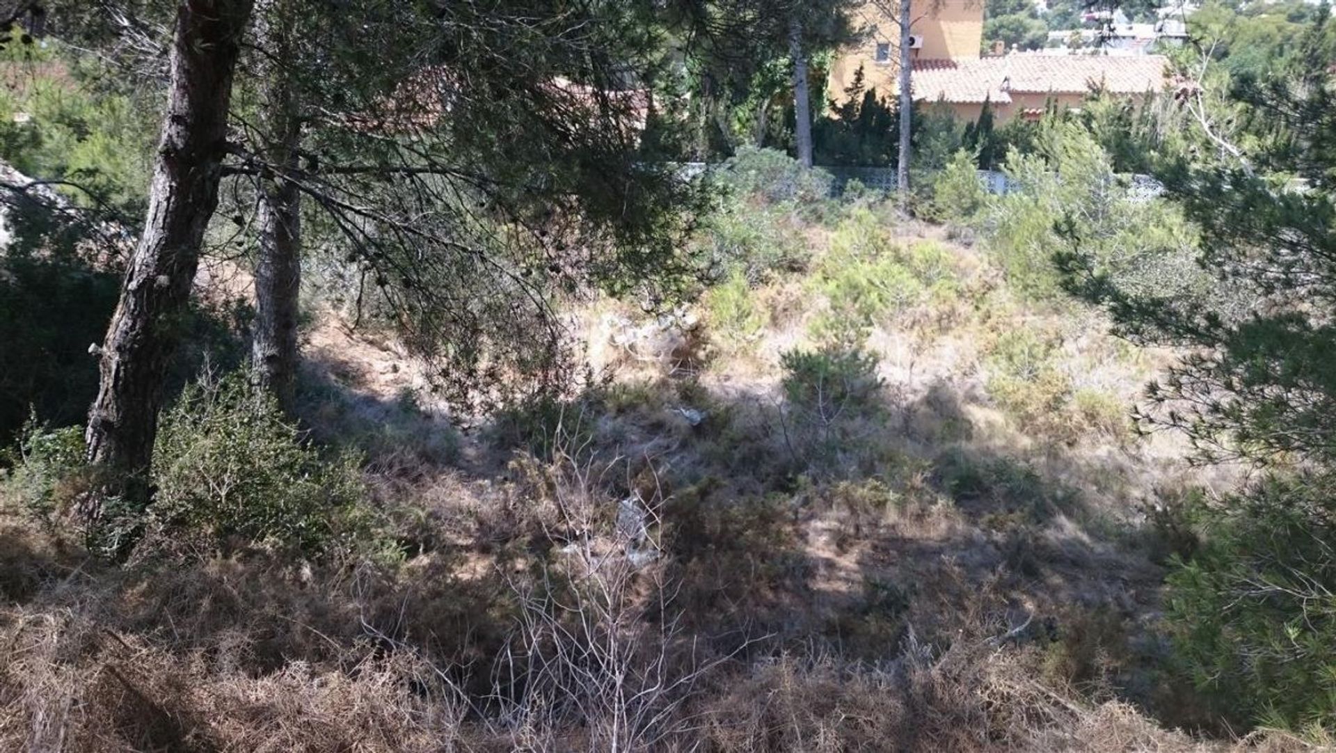 Land in Javea, Valencia 11350461