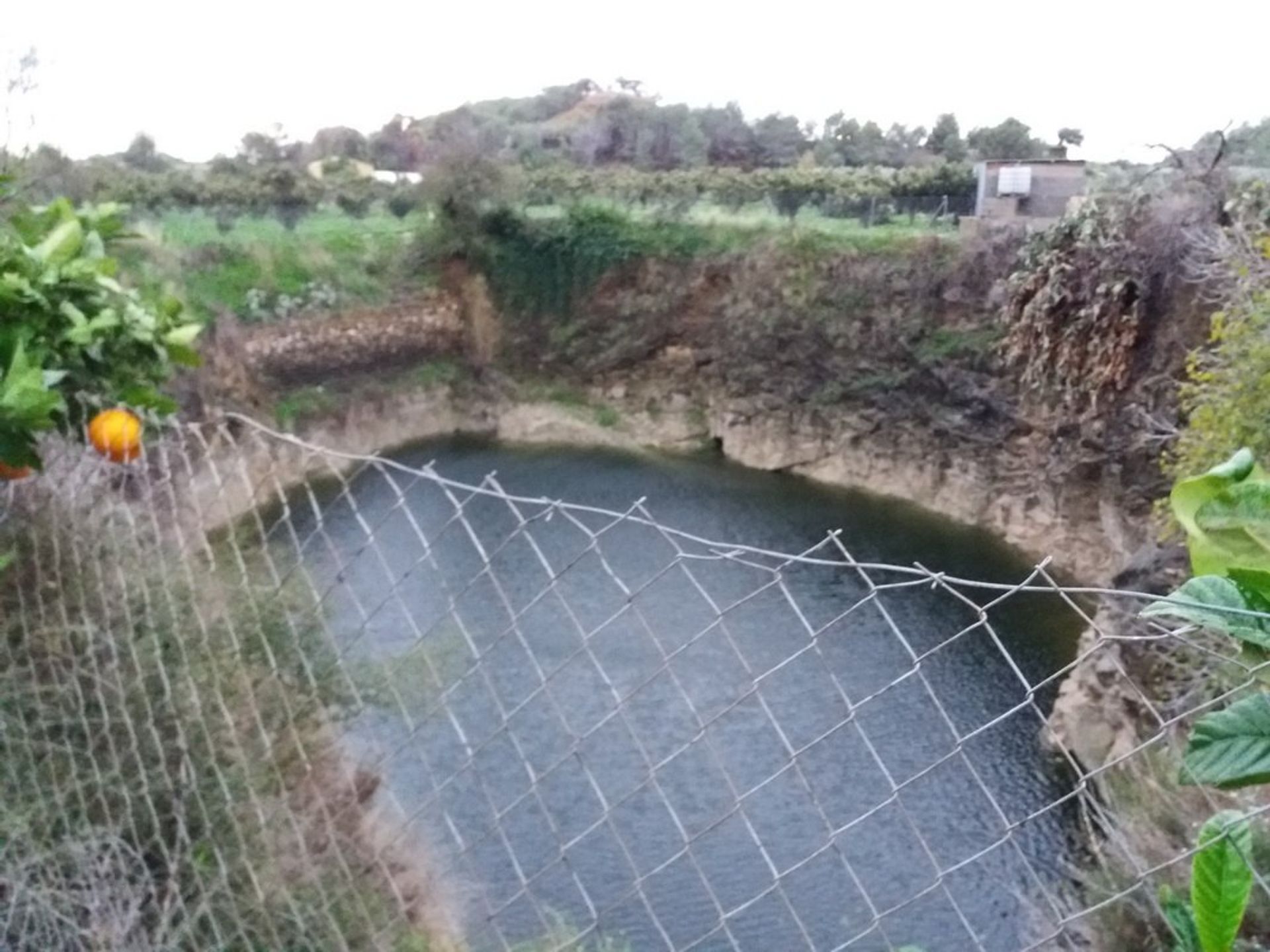 Terra no , Comunidad Valenciana 11350532