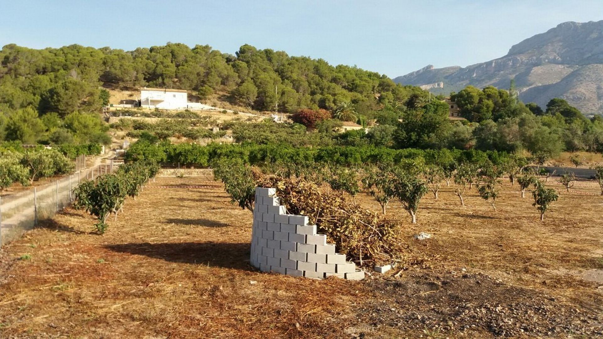 Tanah di , Comunidad Valenciana 11350532