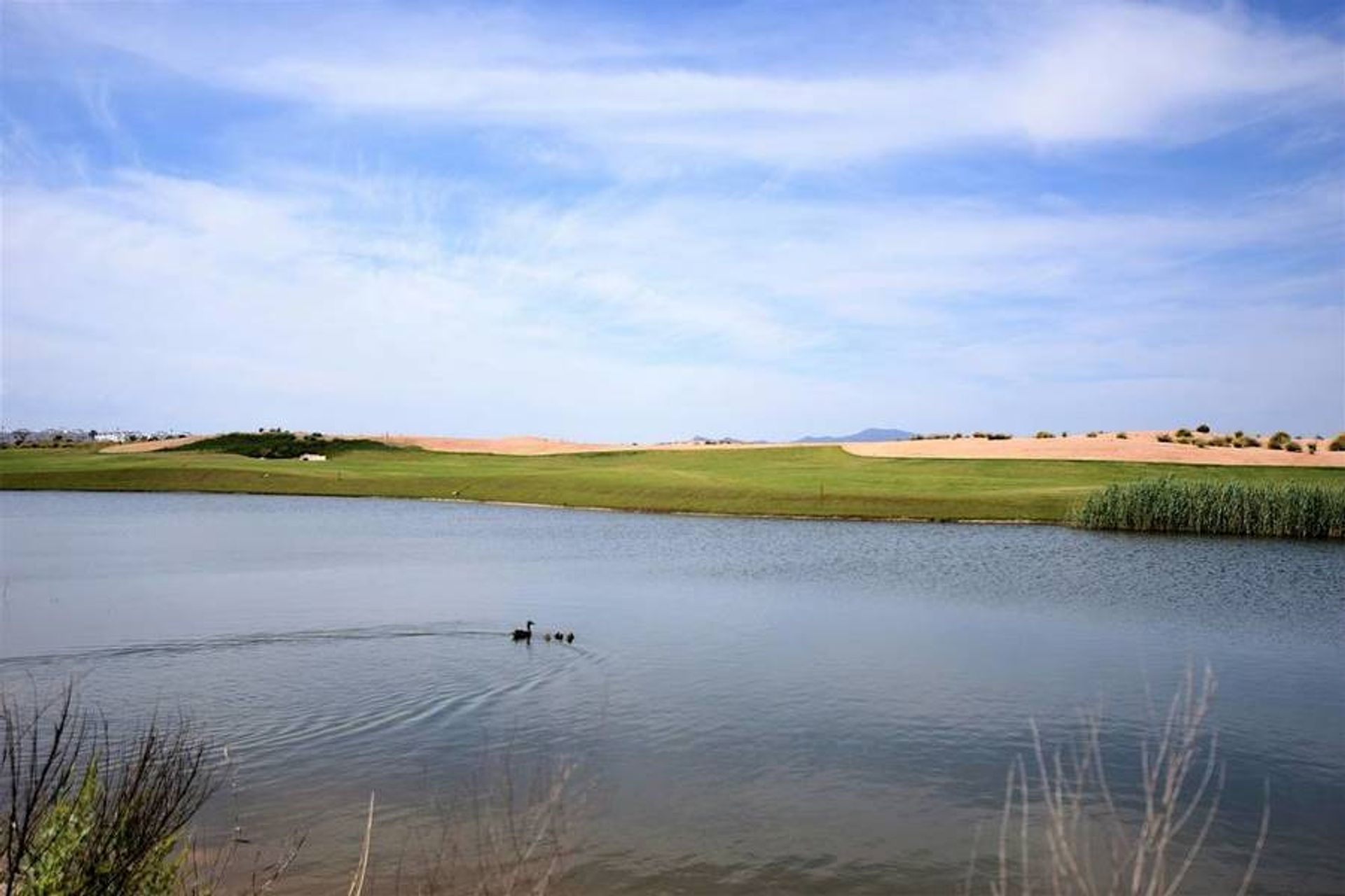 loger dans Totana, Región de Murcia 11350650