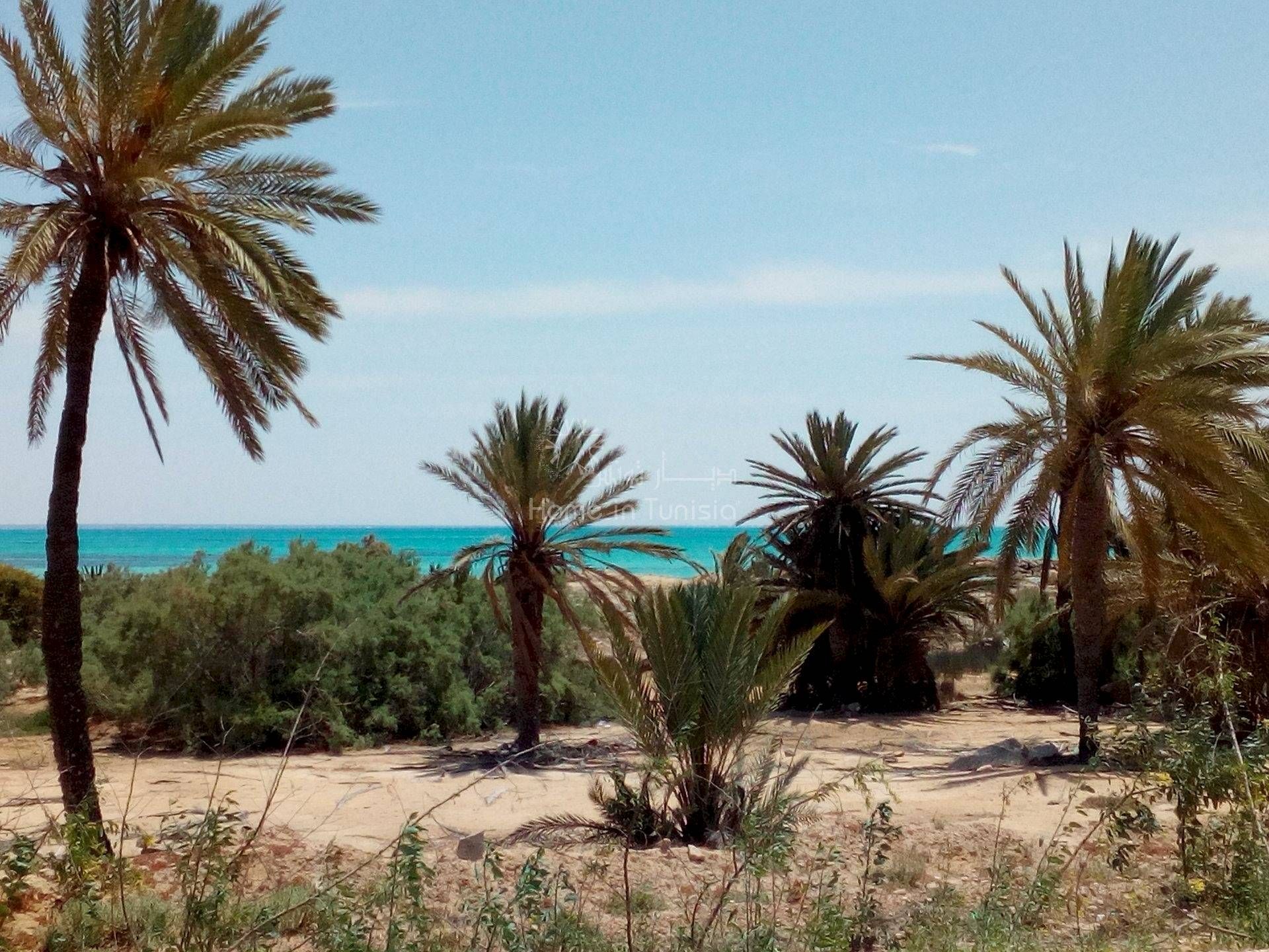 σπίτι σε Djerba Midun, Medenine 11351764