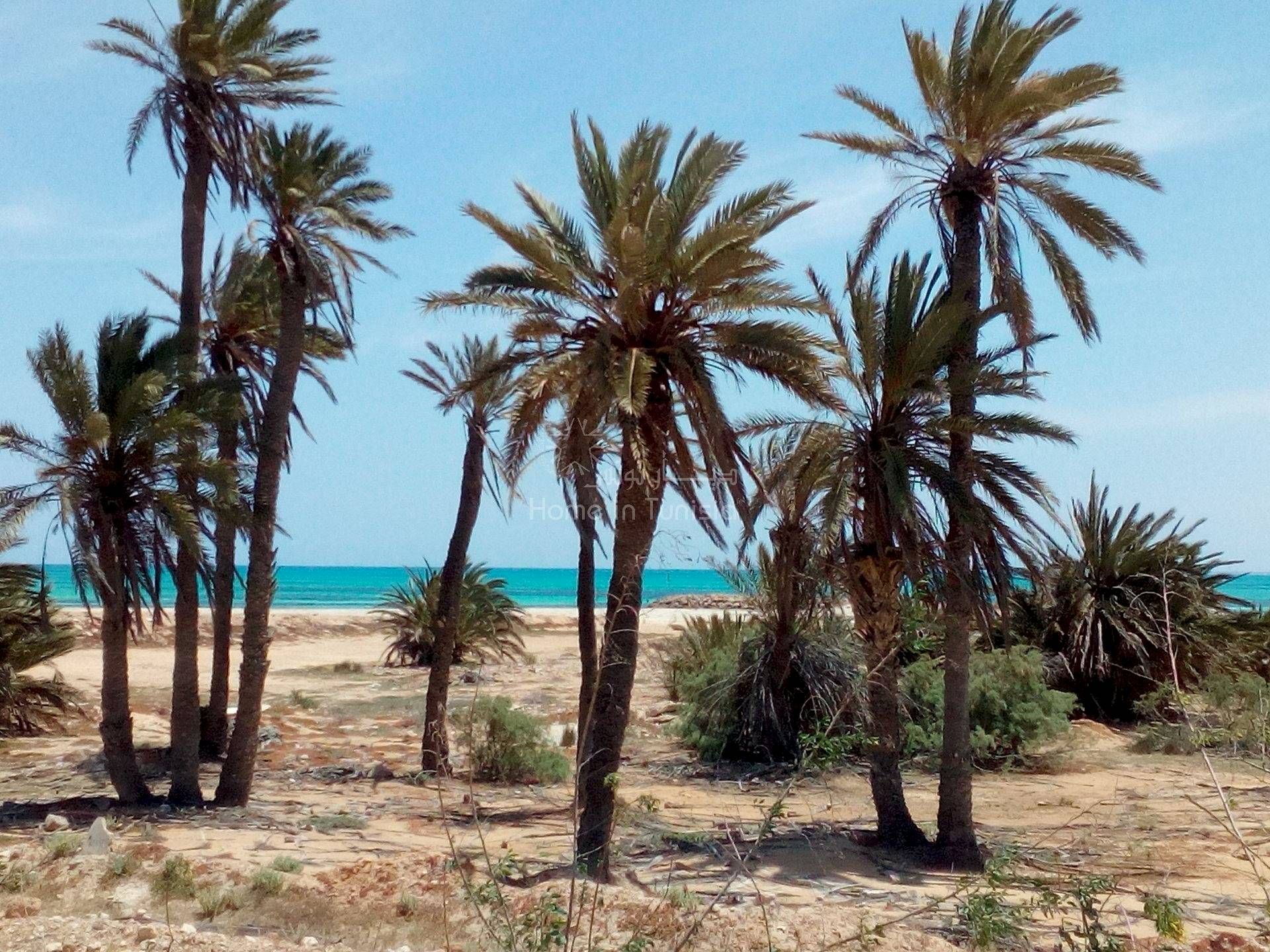 σπίτι σε Djerba Midun, Medenine 11351764