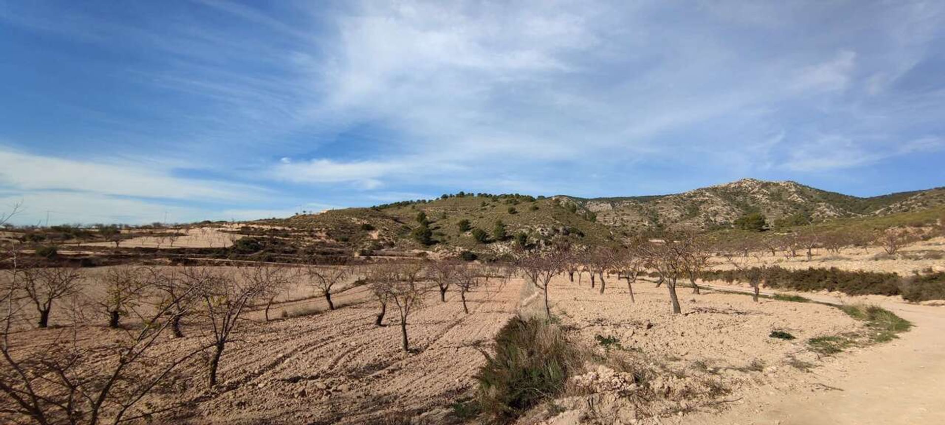 Casa nel Jumilla, Región de Murcia 11352091