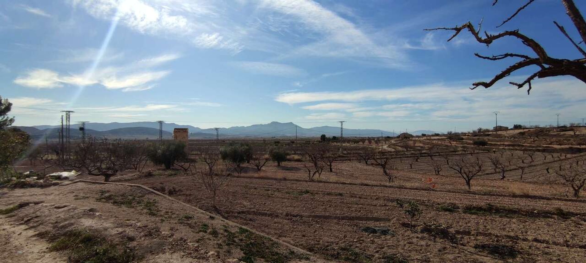 Casa nel Jumilla, Región de Murcia 11352091