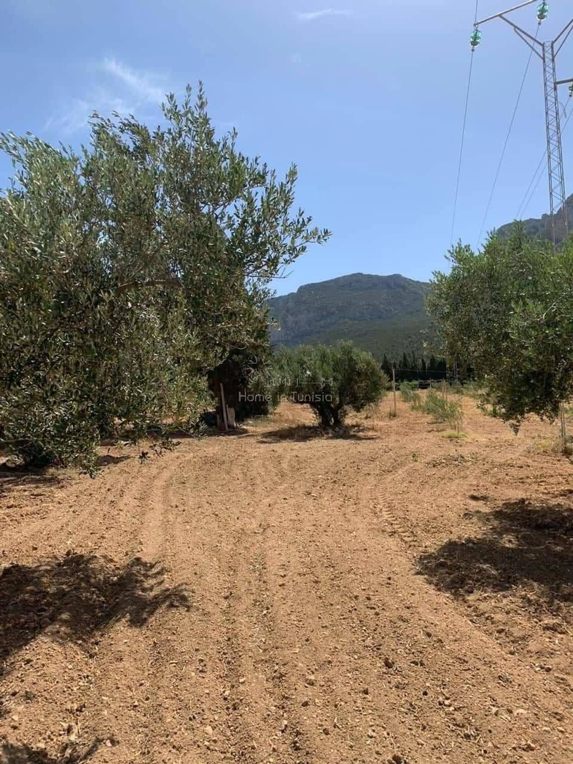 Land in Nassen, Ben Arous 11352645