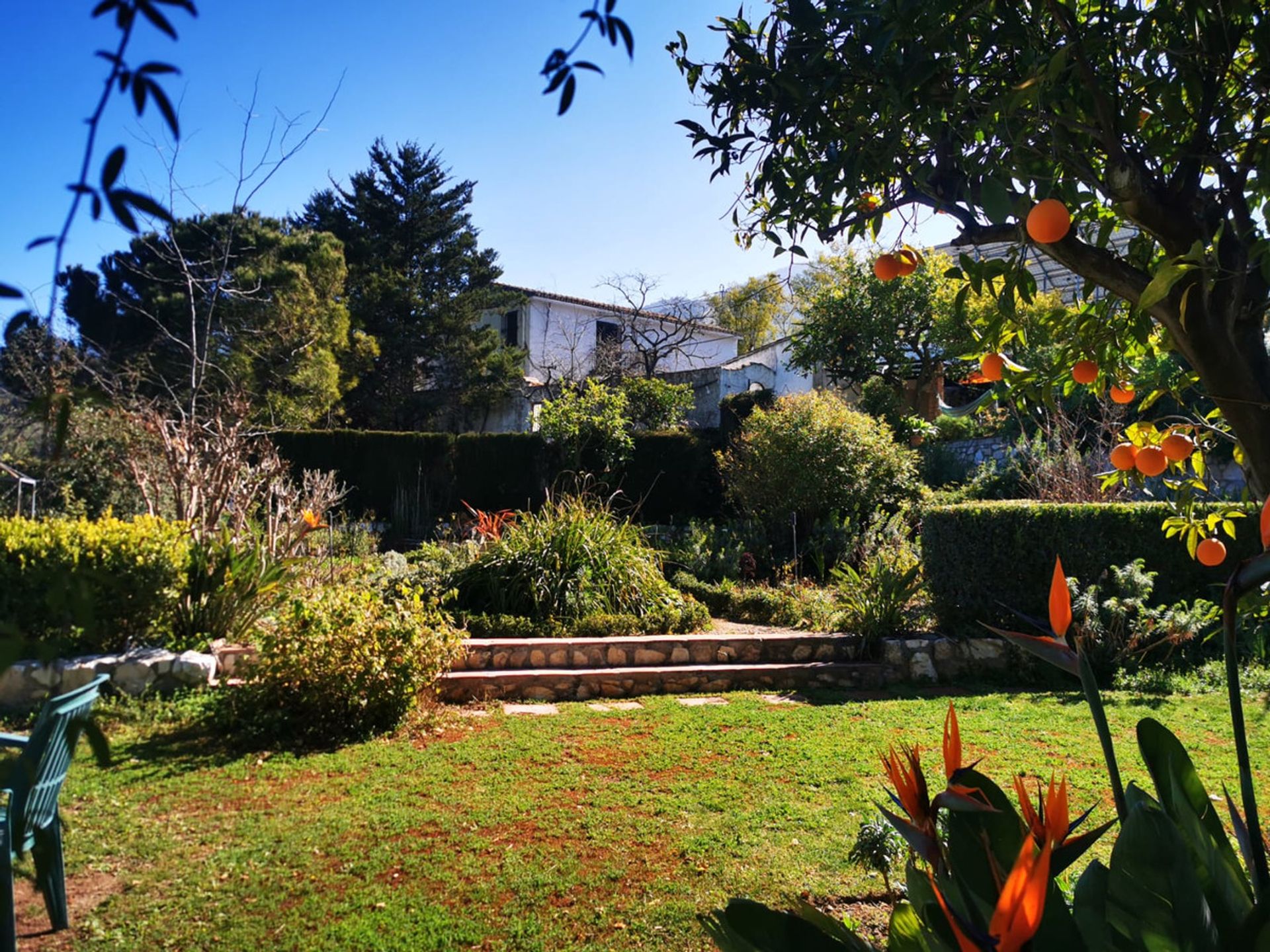 casa en Alhaurín el Grande, Andalucía 11352676