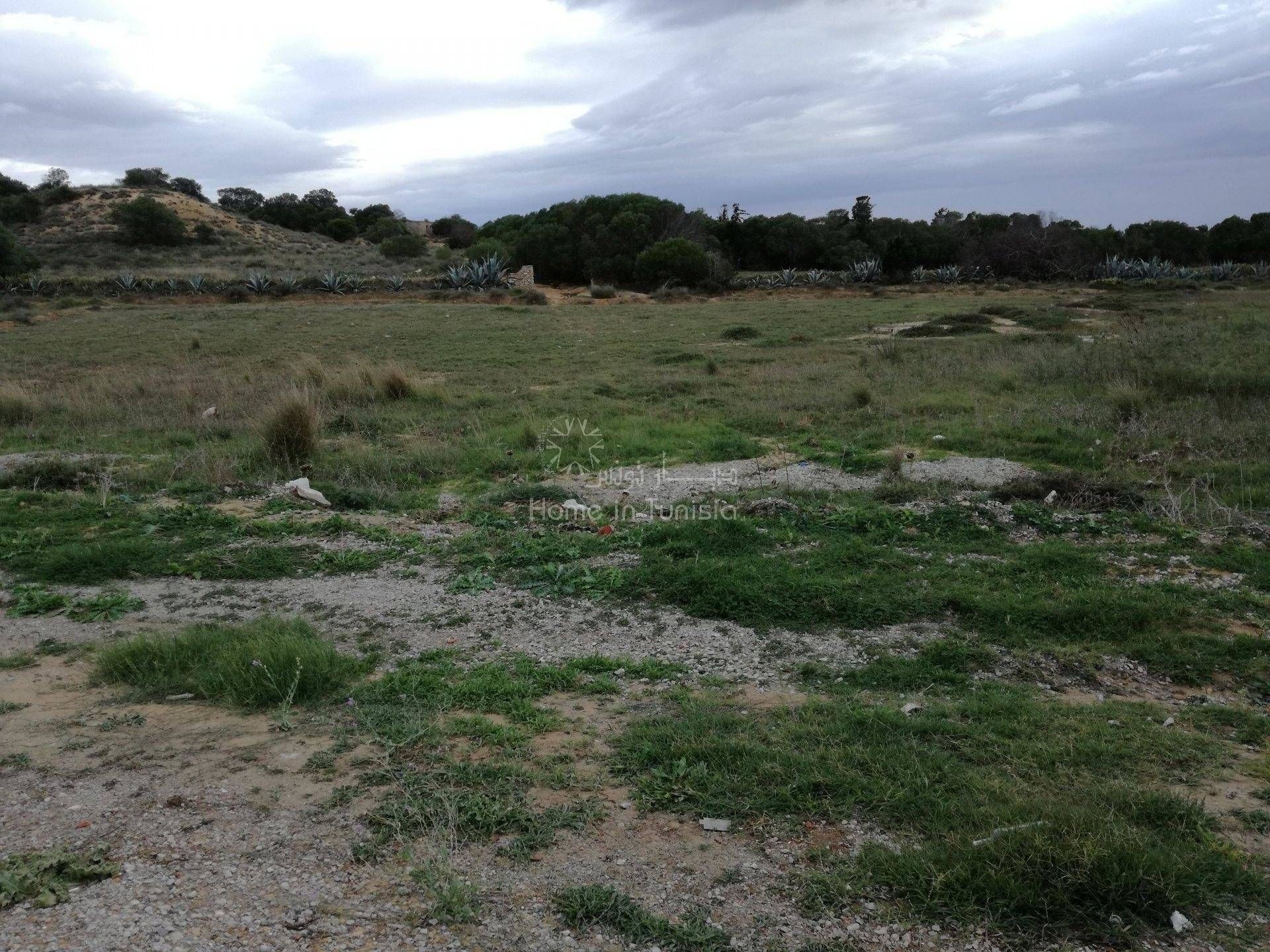 Terre dans حمام سوسة, Gouvernorat de Sousse 11352714