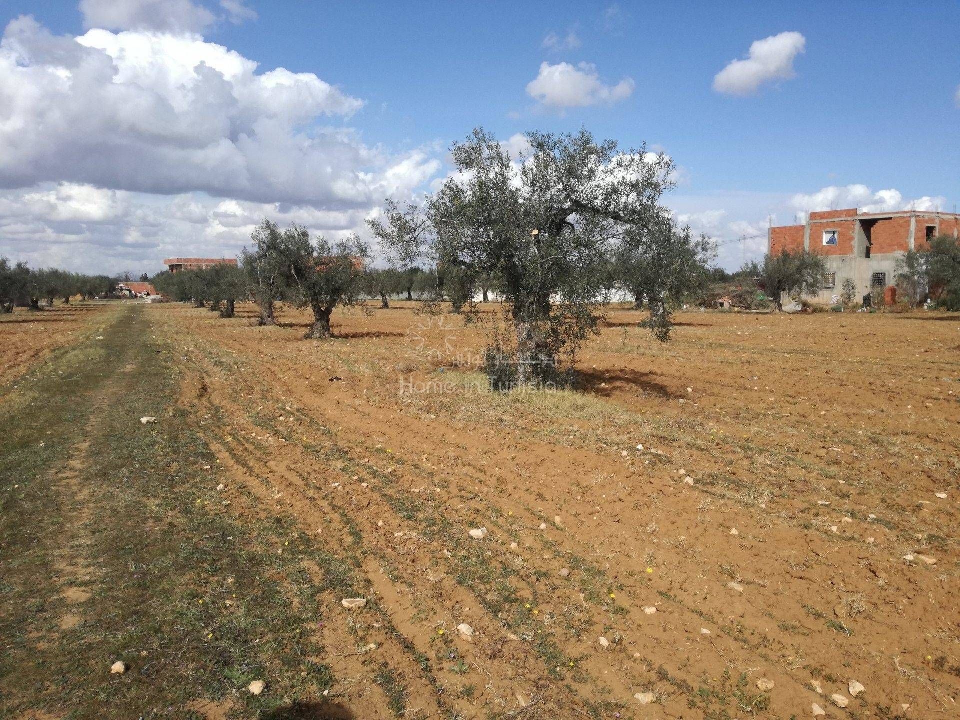 Talo sisään Sidi Bou Ali, Sousse 11353485