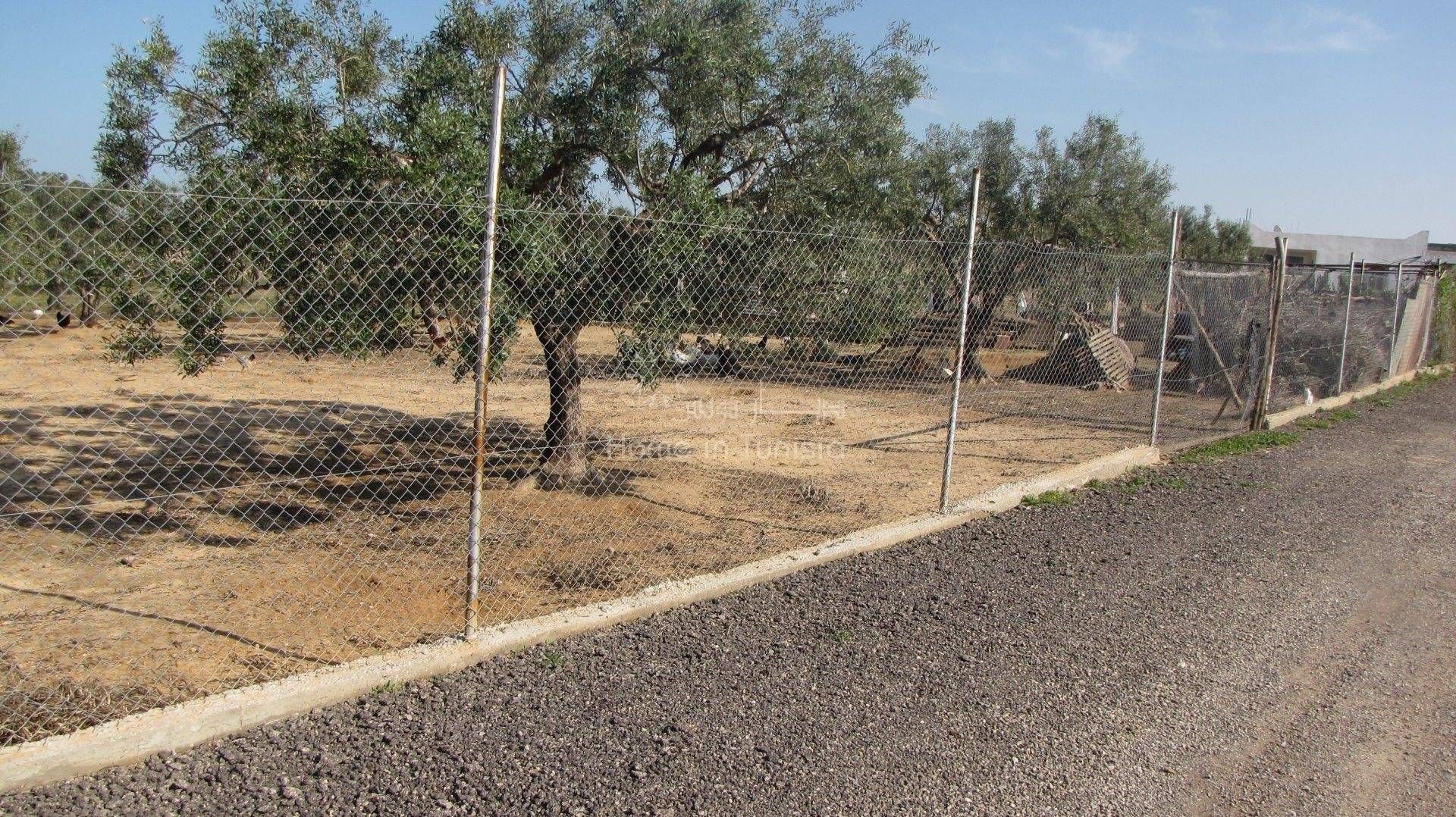 Land i El Haj Mohammed Zarrouch, Sousse 11353795