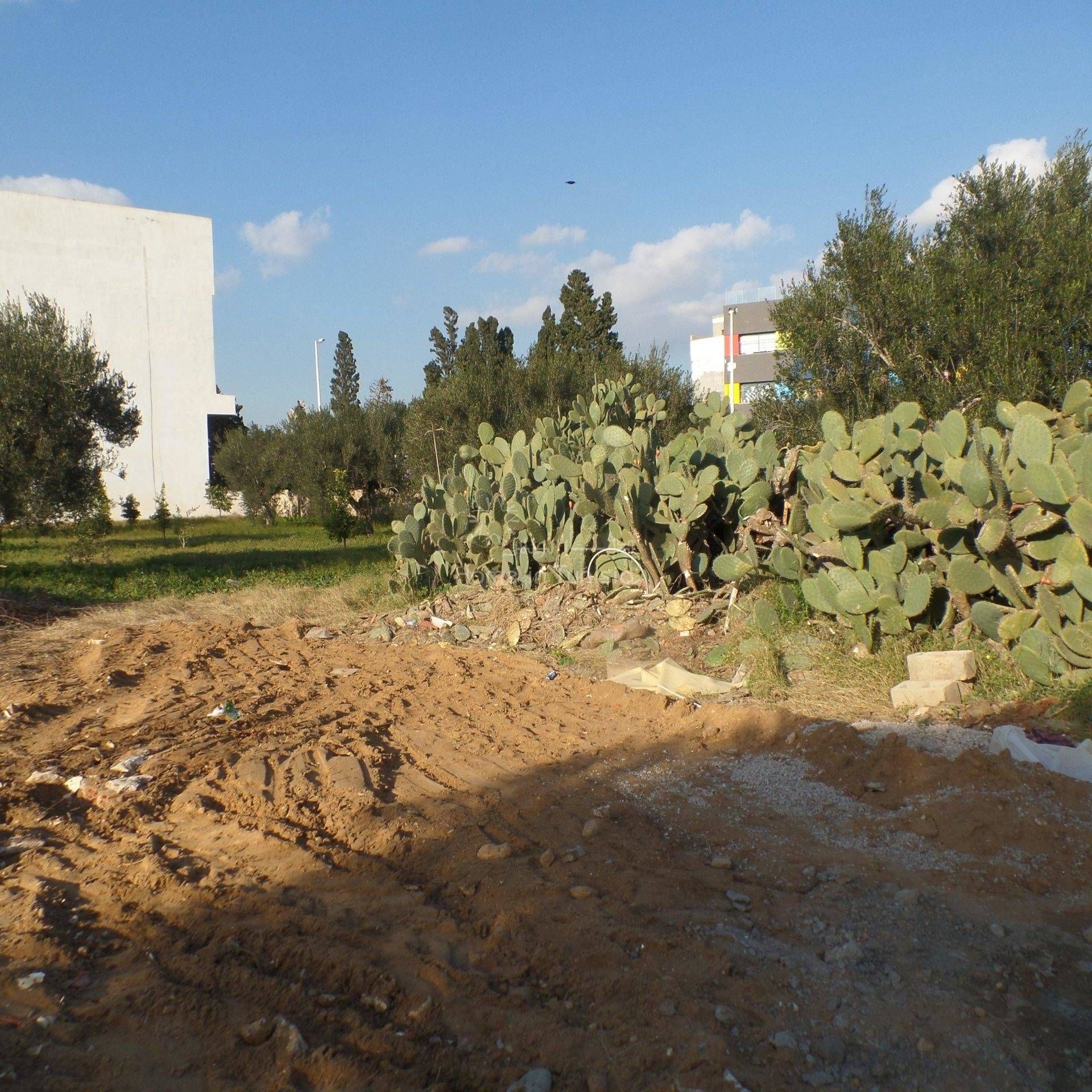 Land in Hammamet, Nabeul 11354002