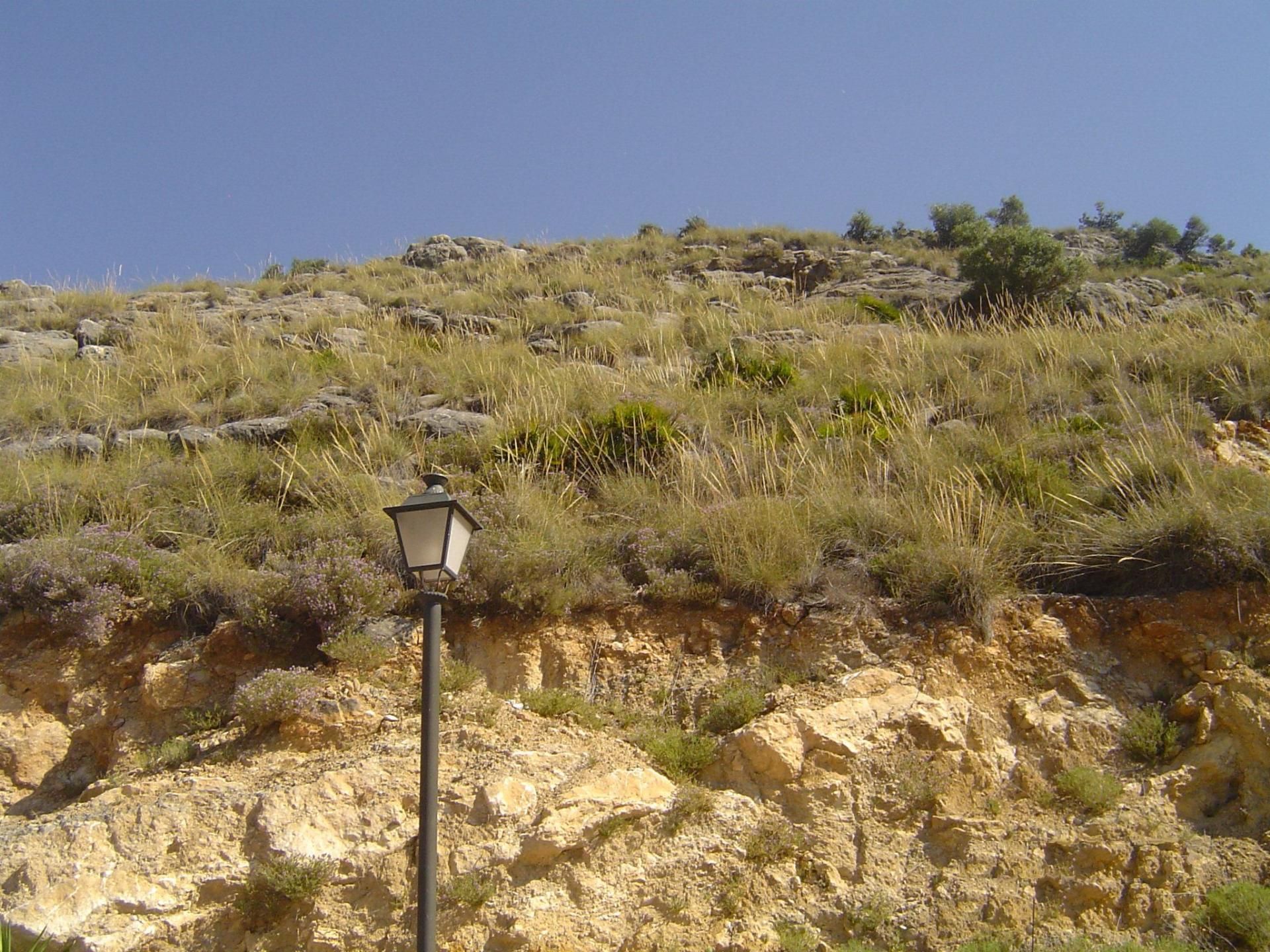 Terre dans Coín, Andalucía 11354370