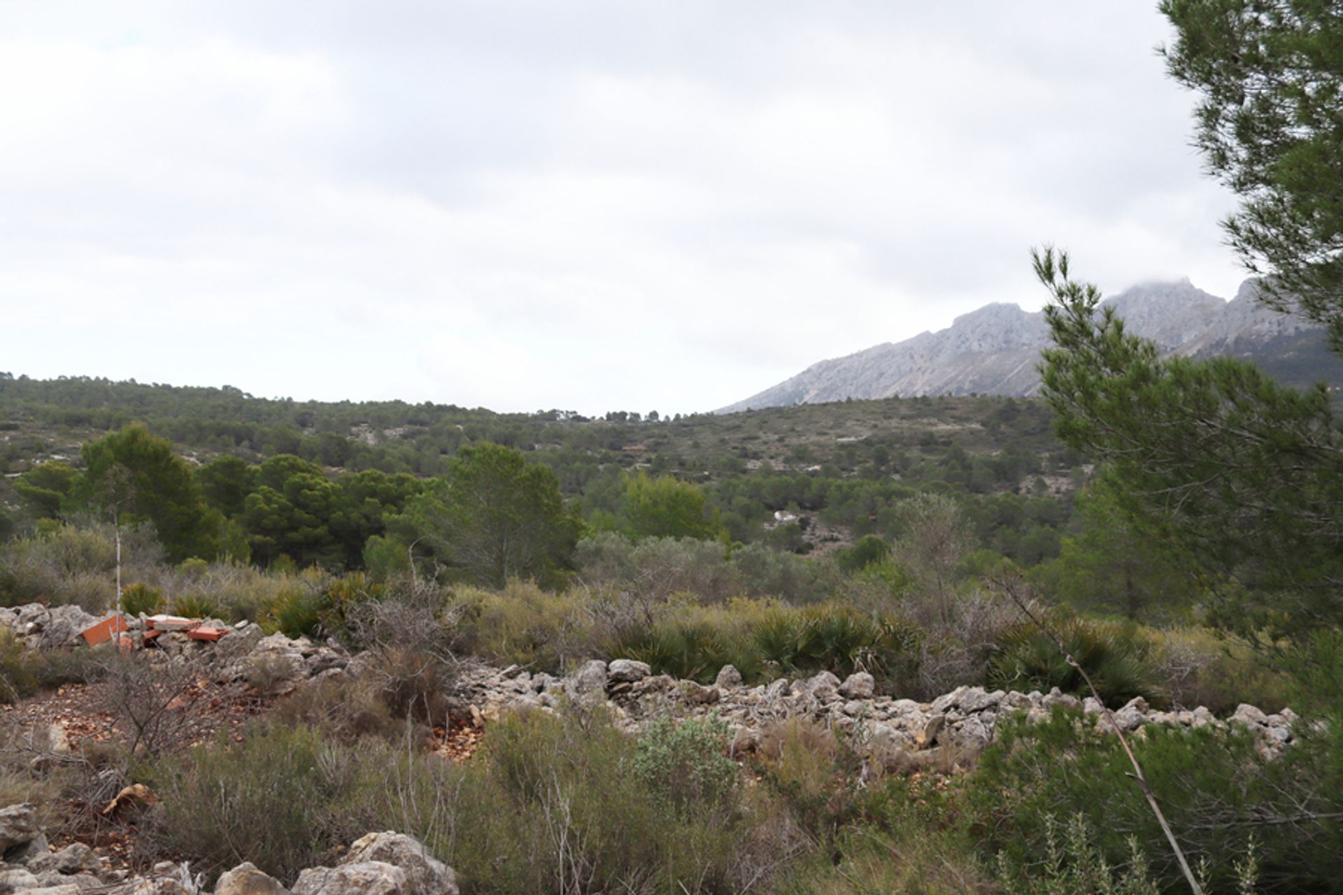 Tanah di Xaló, Comunidad Valenciana 11354831