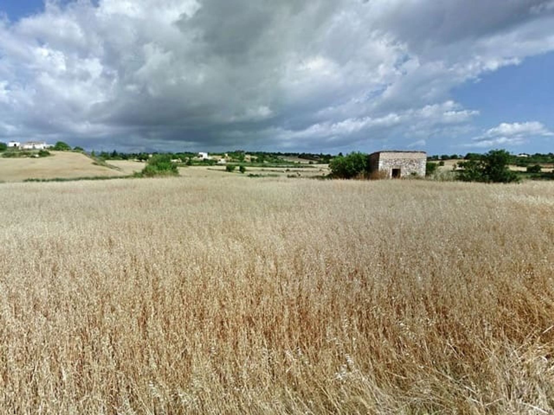 Jord i Santa Margarita, Baleariske Øer 11354841