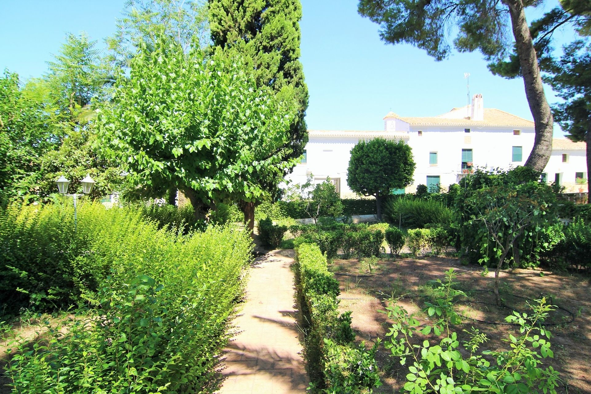 Hus i Yecla, Región de Murcia 11355059