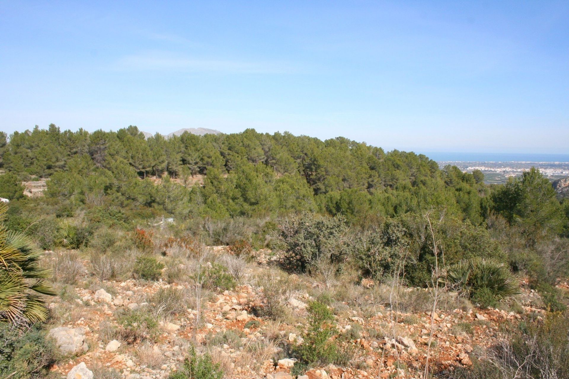 Tanah di Benidoleig, Valencia 11355118