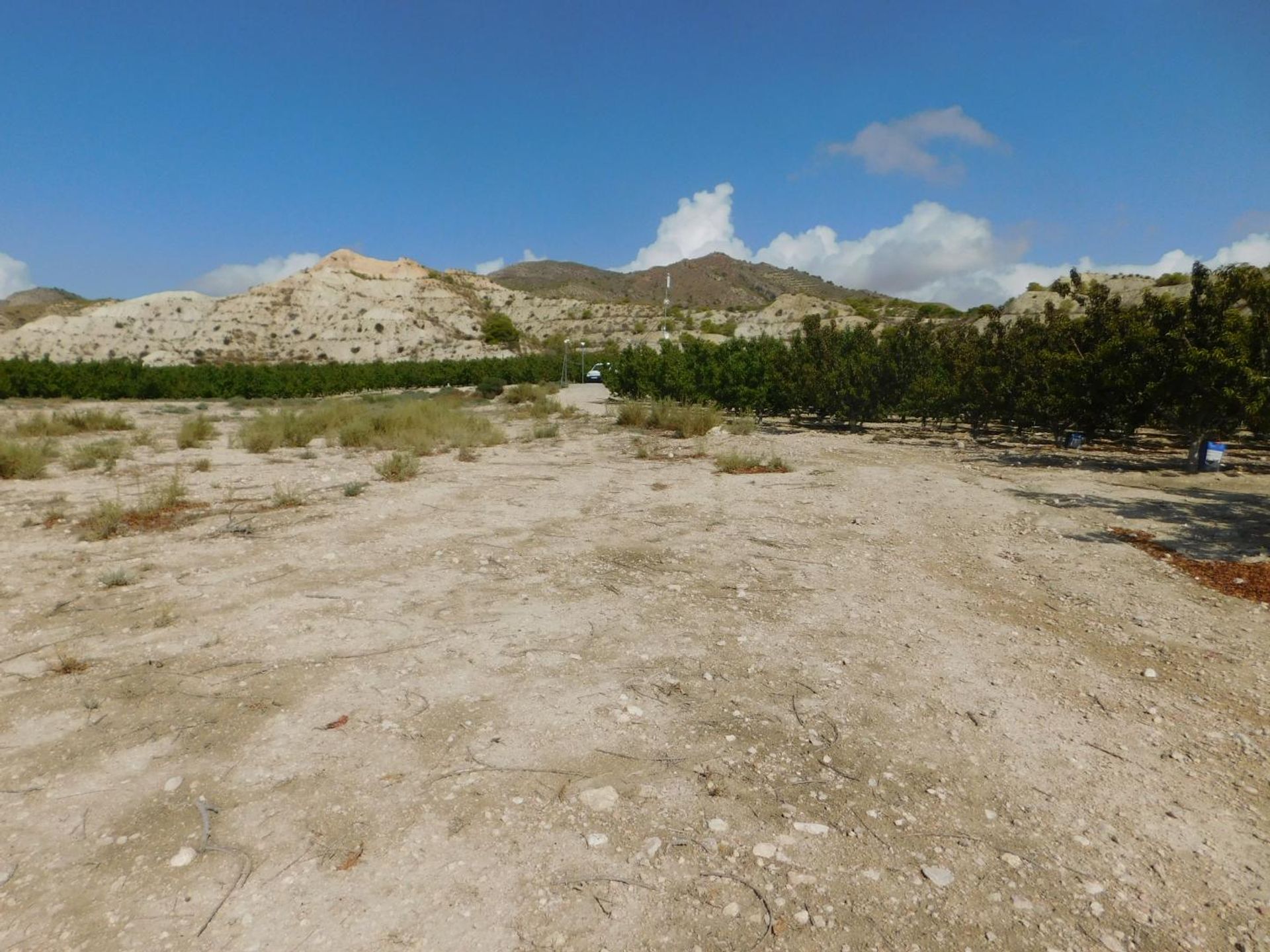 Land in Alicante, Valencian Community 11355392