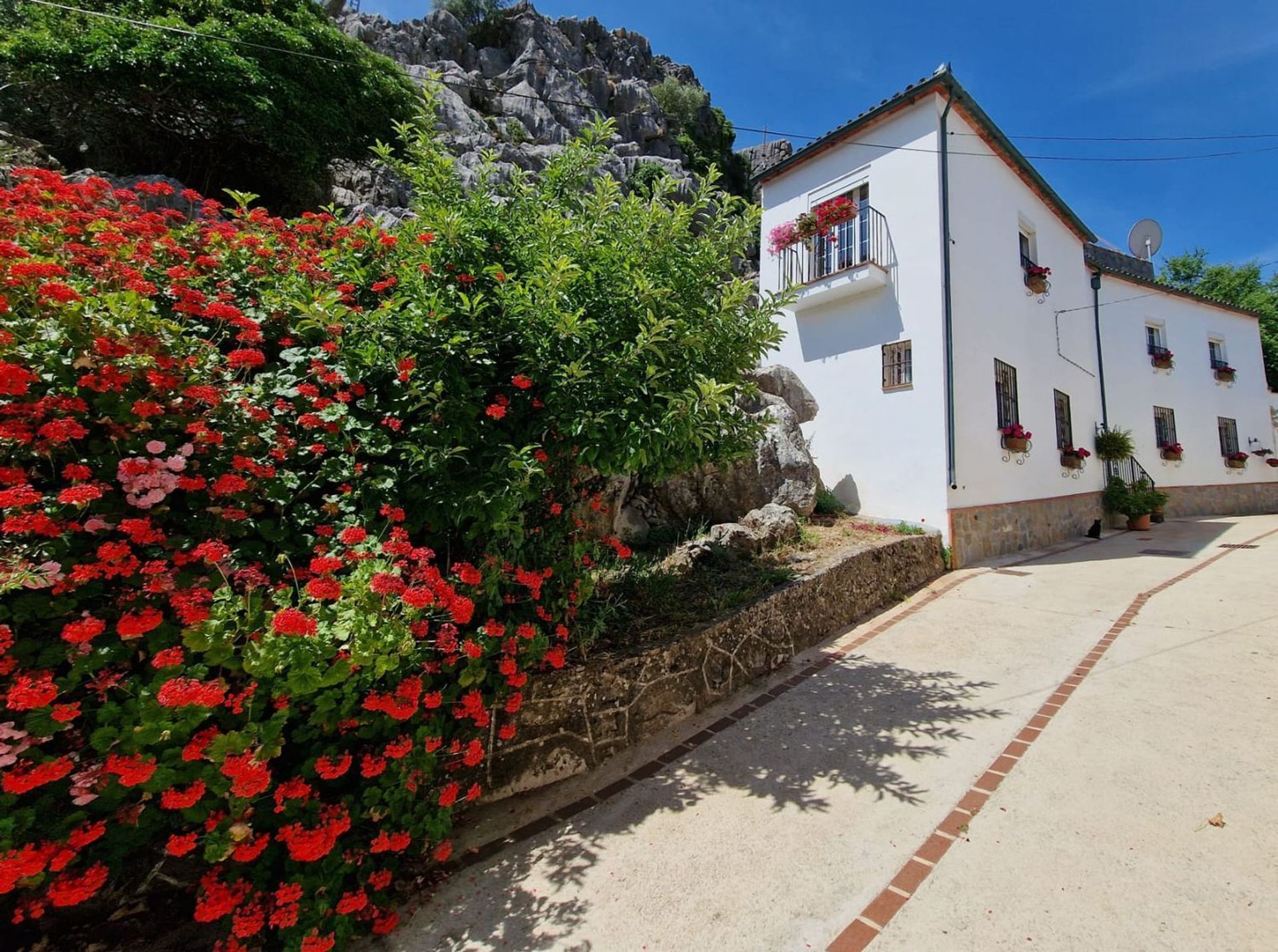 Haus im Benaoján, Andalusien 11356017