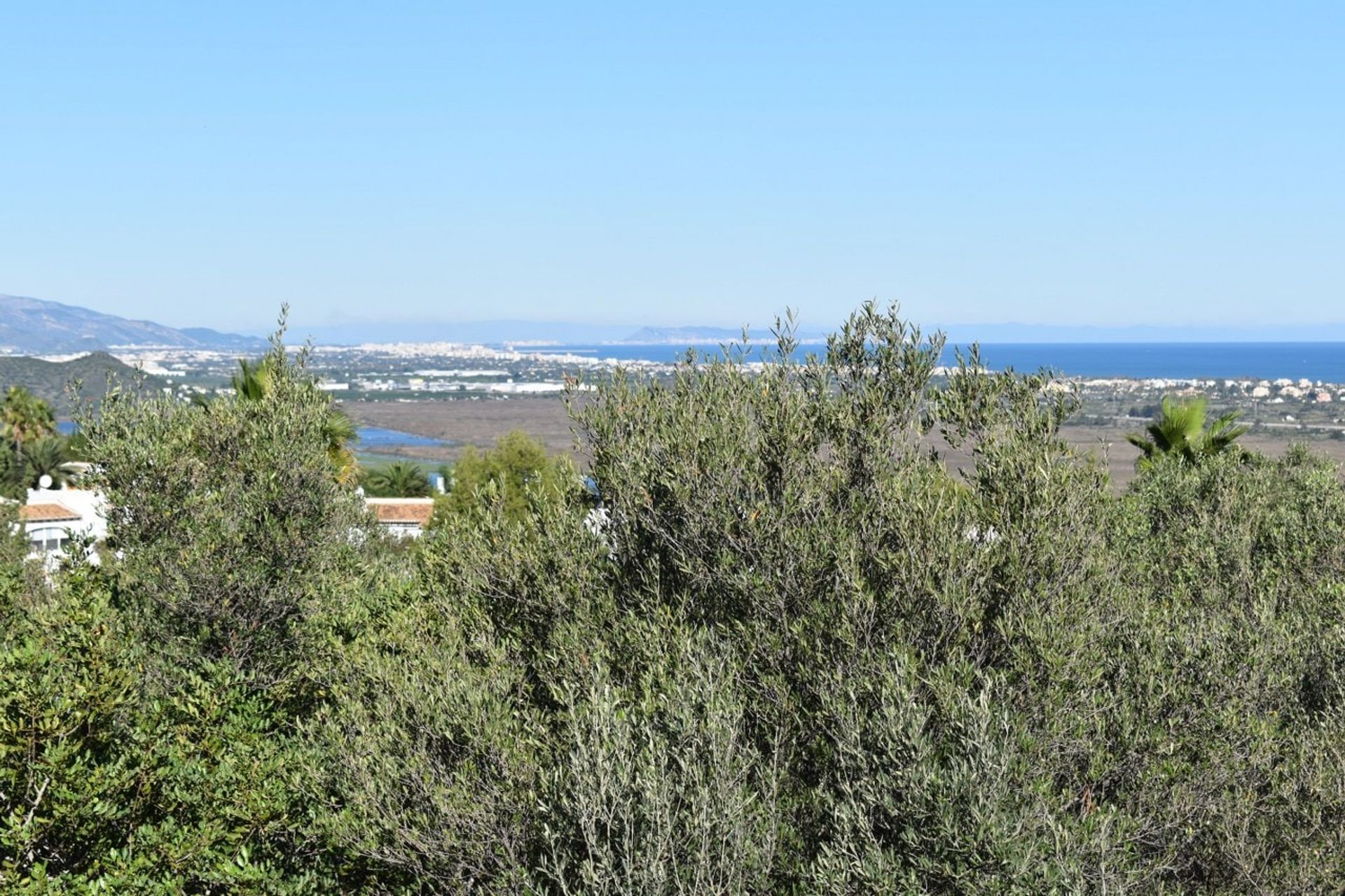 Tierra en Benimelí, Valencia 11356291