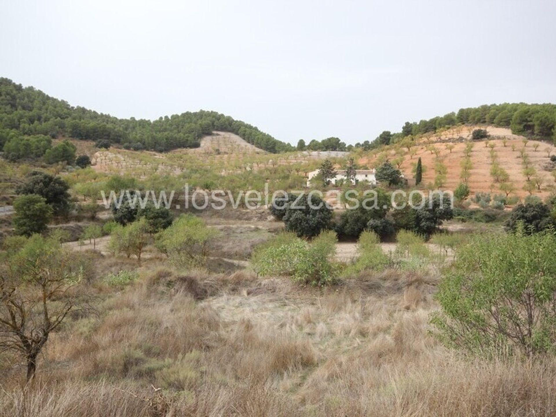 Casa nel Velez Rubio, Andalusia 11356521