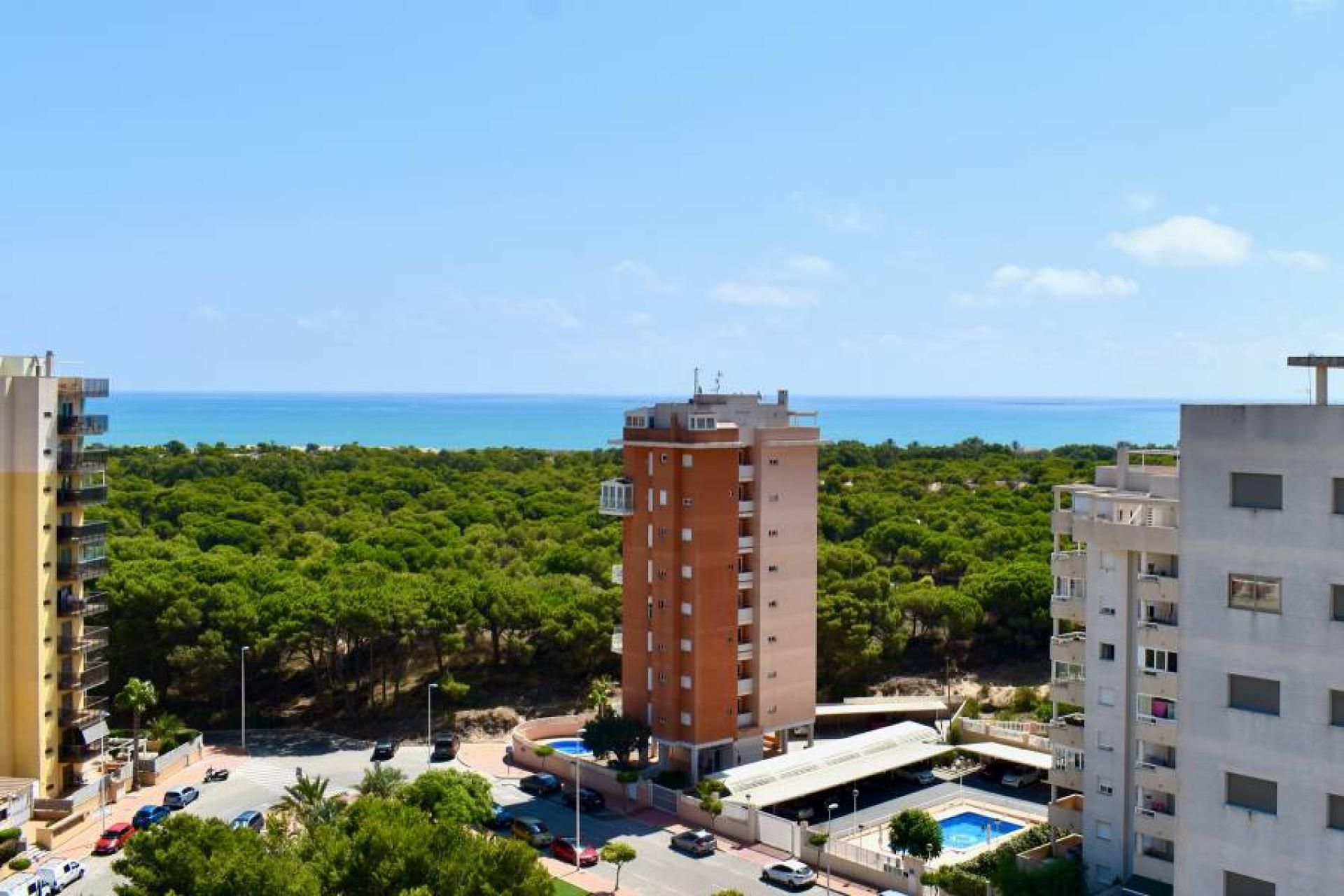 Haus im Guardamar del Segura, Comunidad Valenciana 11358514