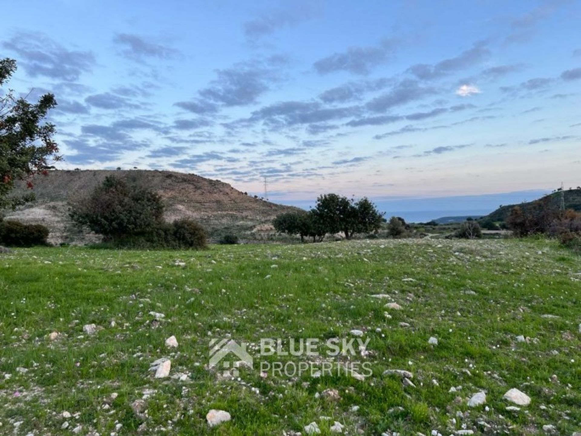 Land in Pampoula, Lemesos 11358521