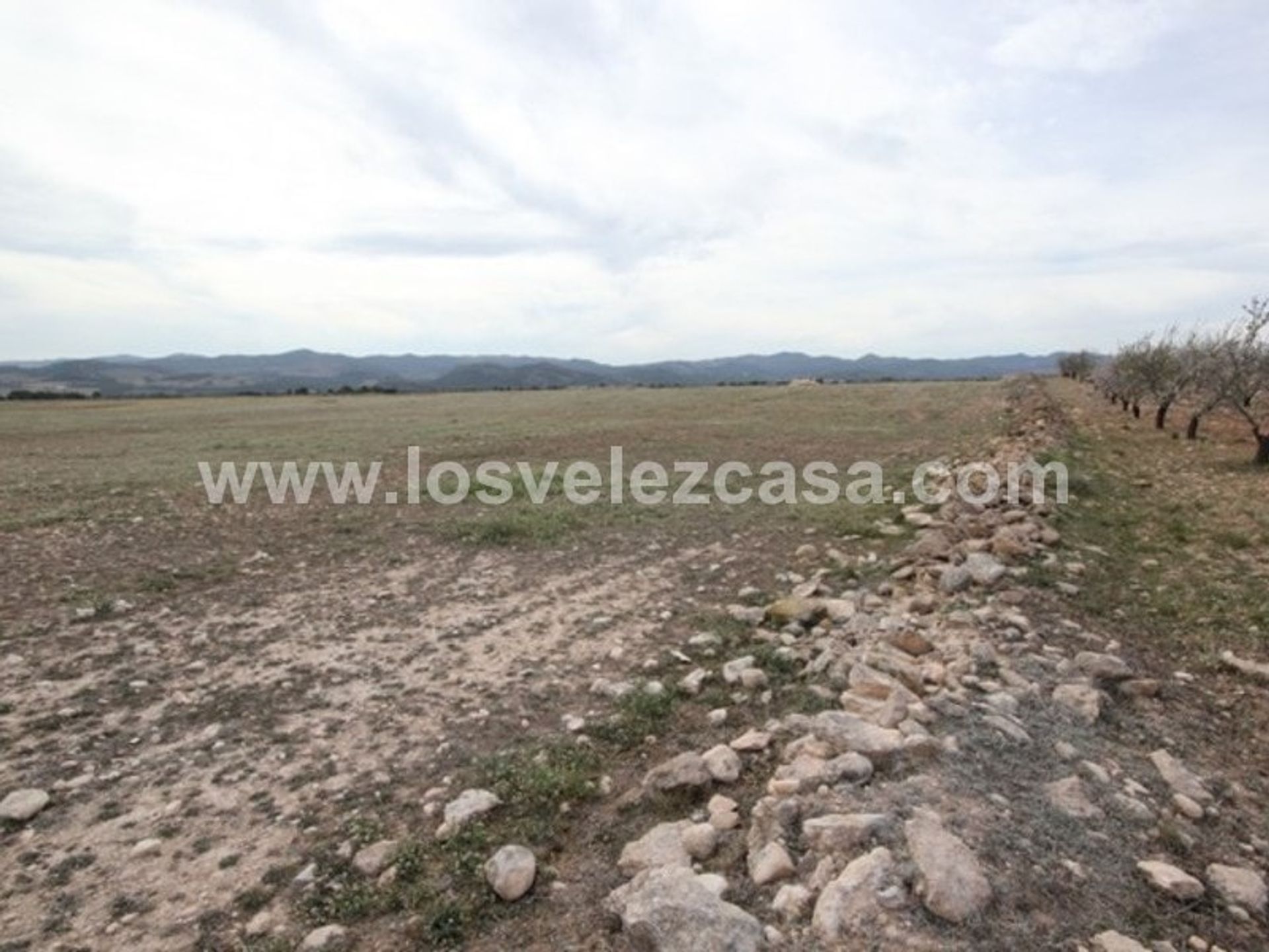 Tanah di La Parroquia, Región de Murcia 11358779