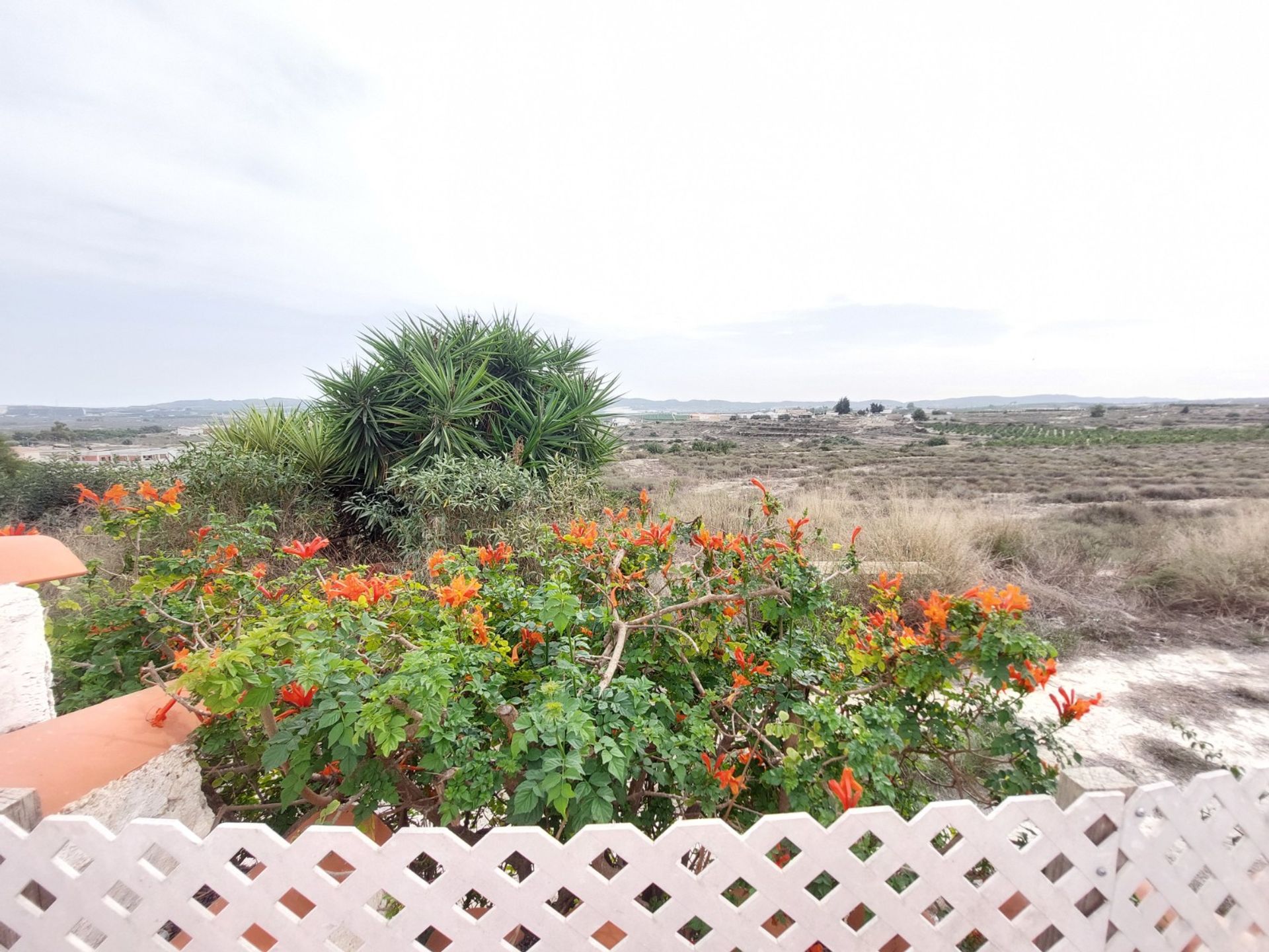 rumah dalam Orihuela, Comunidad Valenciana 11359646