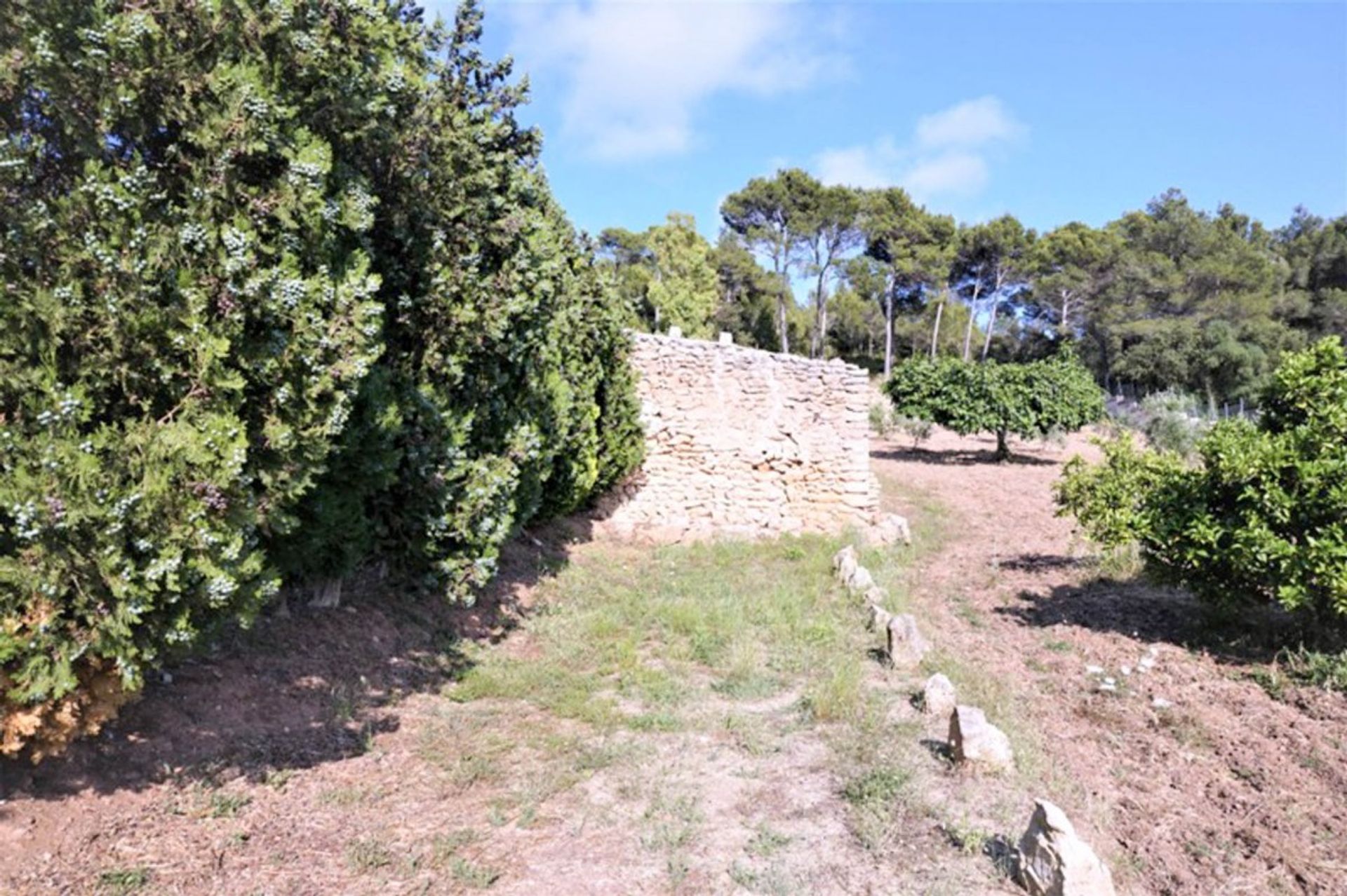 Land in Capdepera, De Balearen 11359722