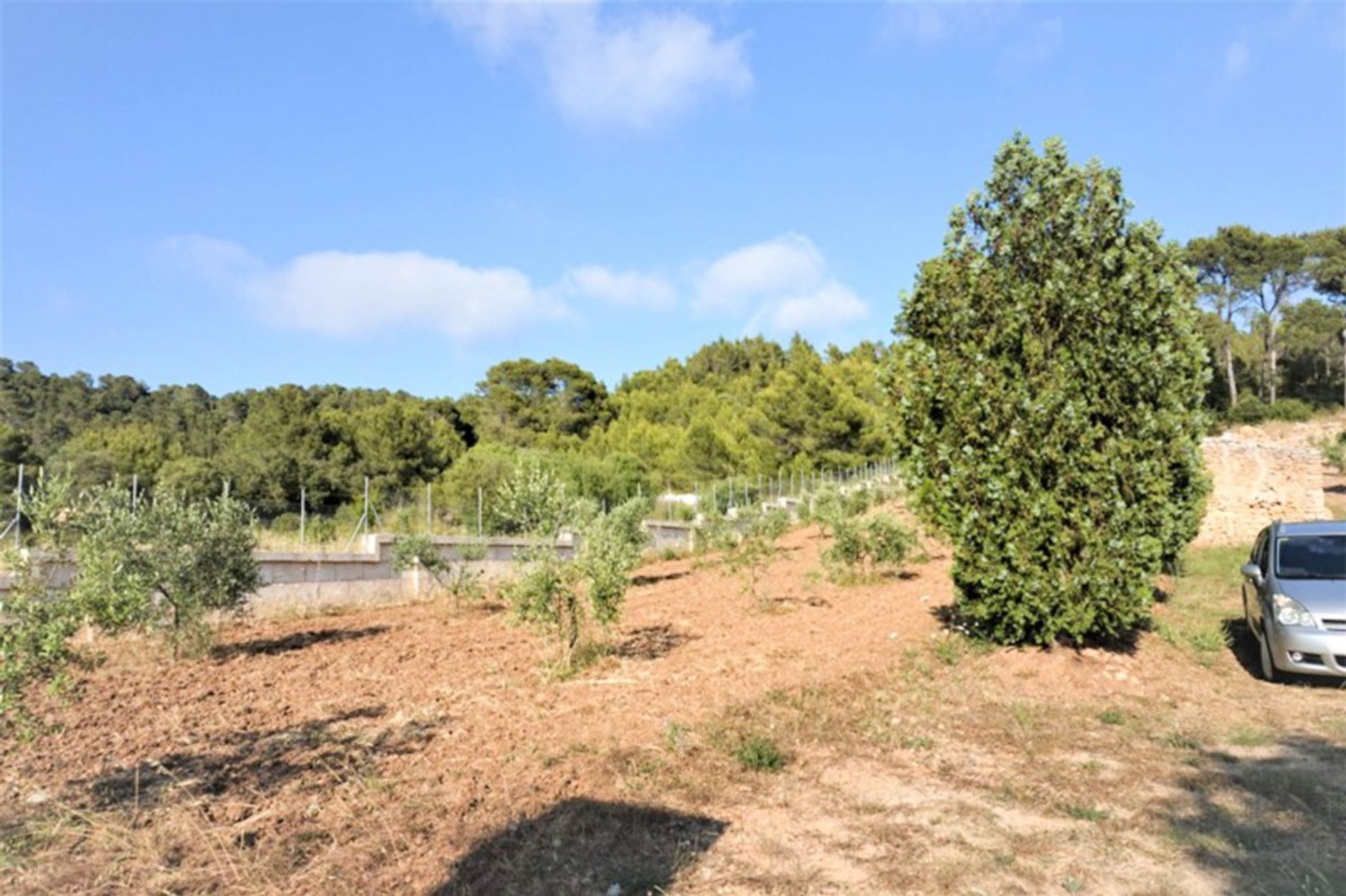 Land in Capdepera, De Balearen 11359722