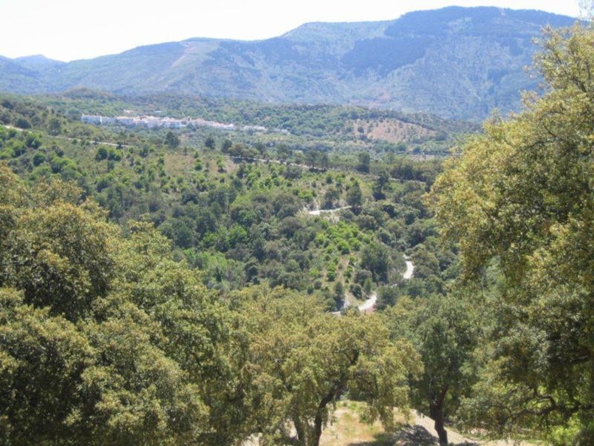 Terre dans Ronda, Andalucía 11360349