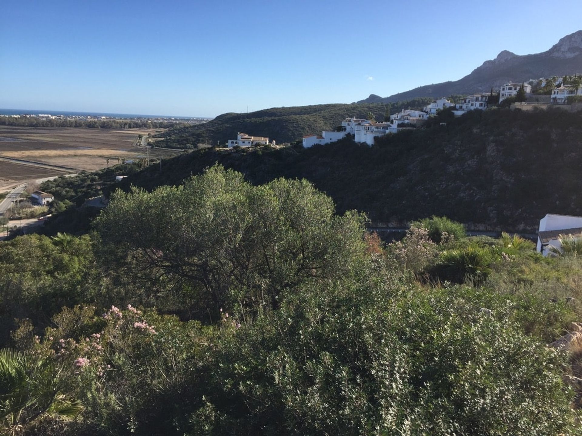 Tierra en Benimelí, Valencia 11360805