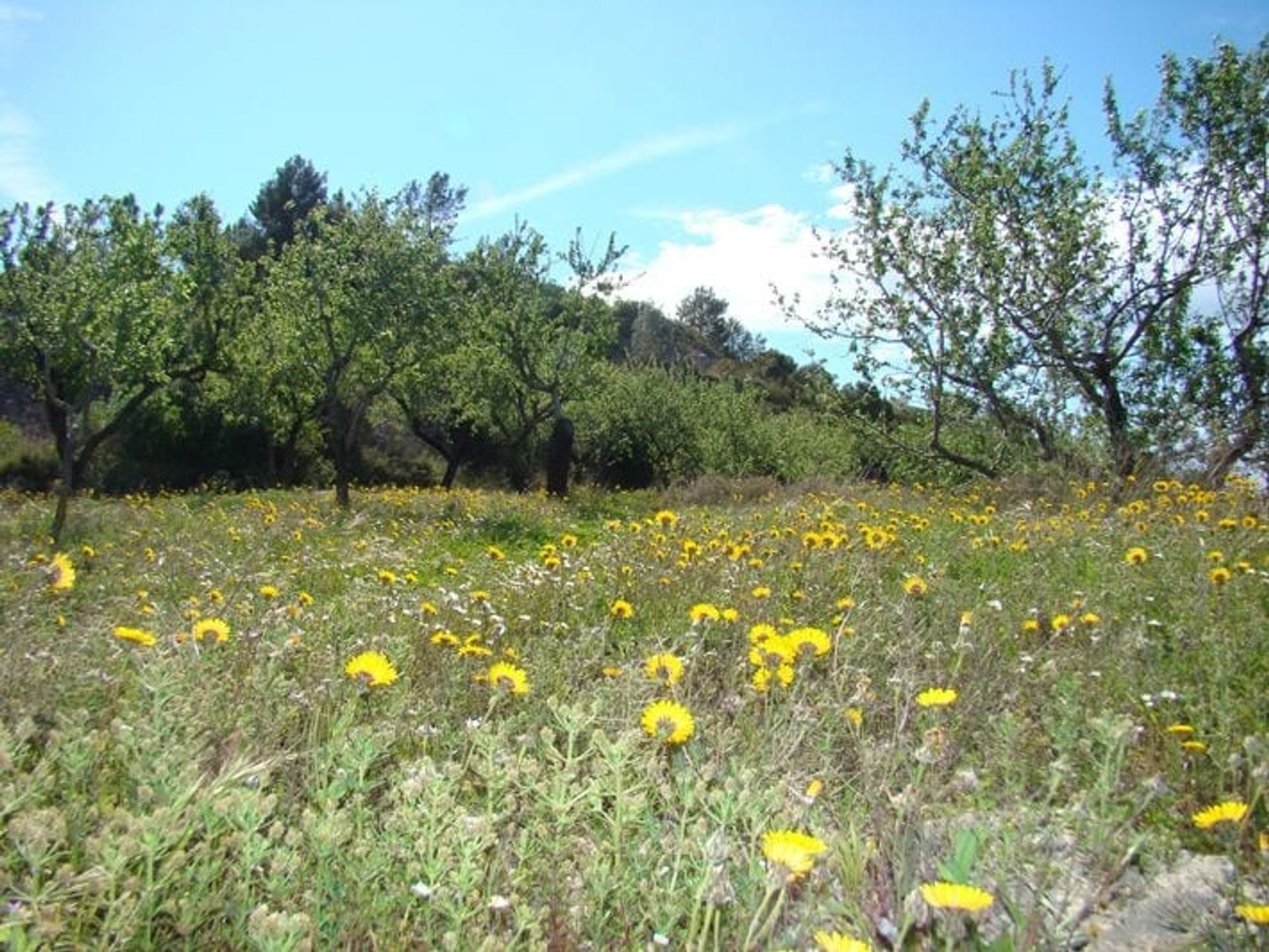 Tierra en , Comunidad Valenciana 11361073