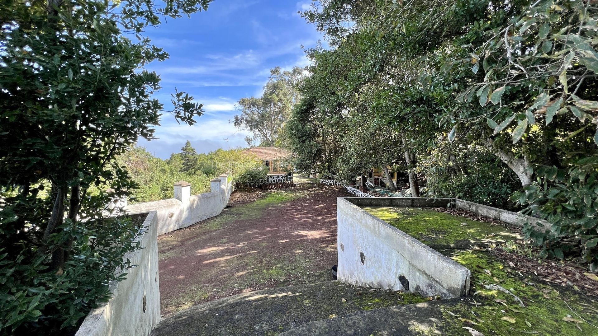 rumah dalam Buenavista del Norte, Canarias 11361421