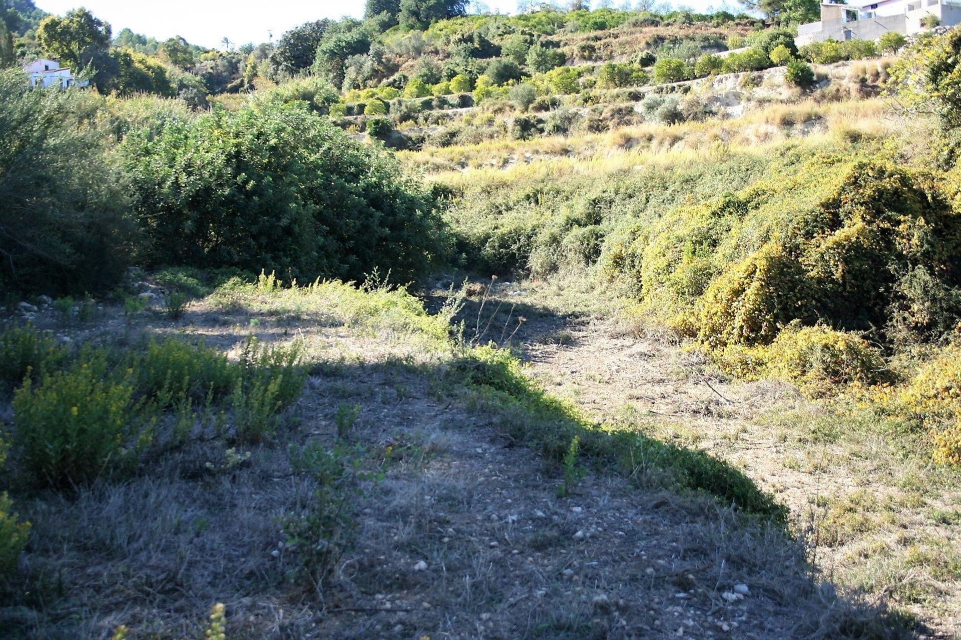 Tierra en Ráfol de Almunia, Comunidad Valenciana 11362513