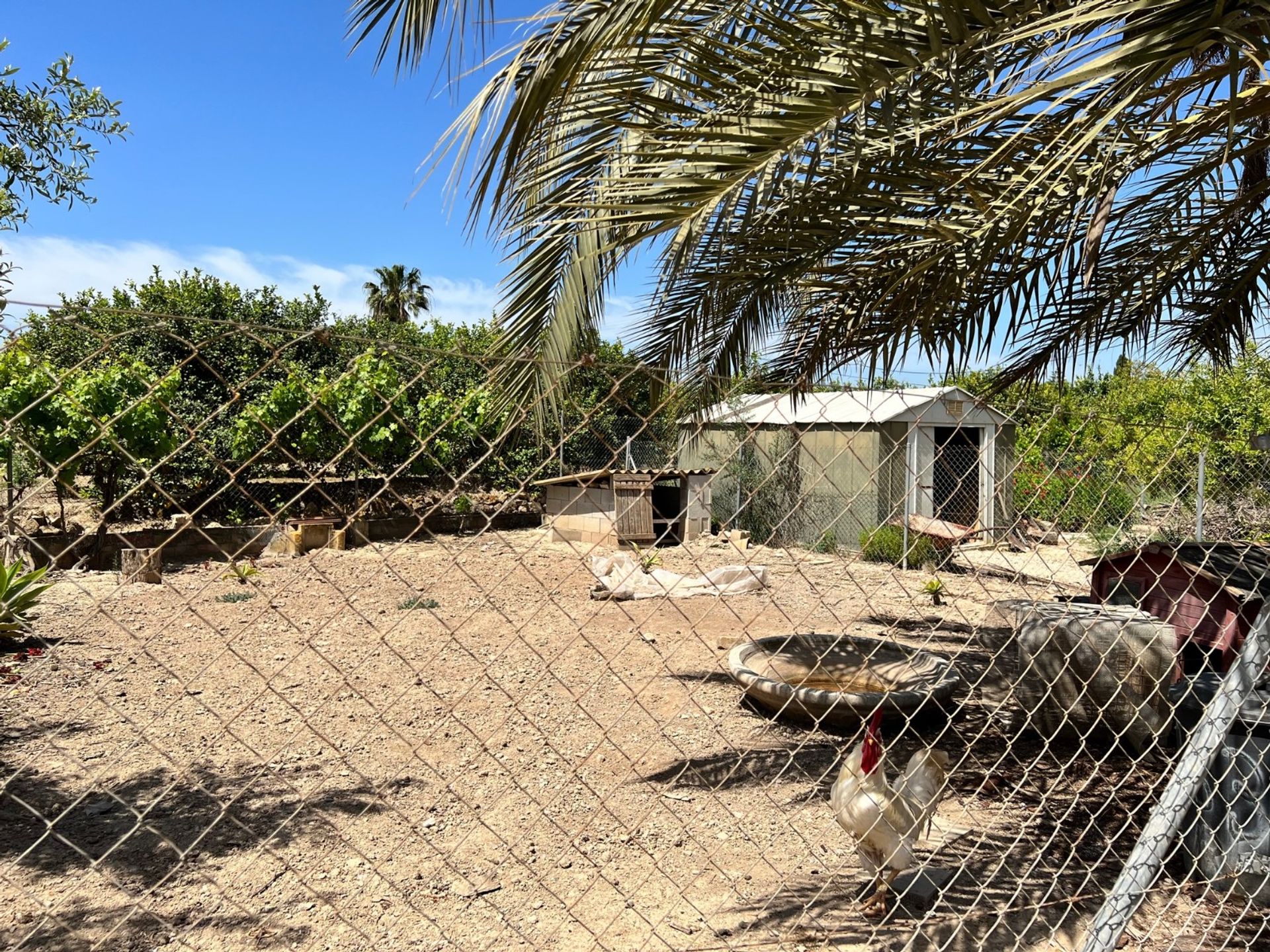 Casa nel San Miguel de Salinas, Valencian Community 11363799