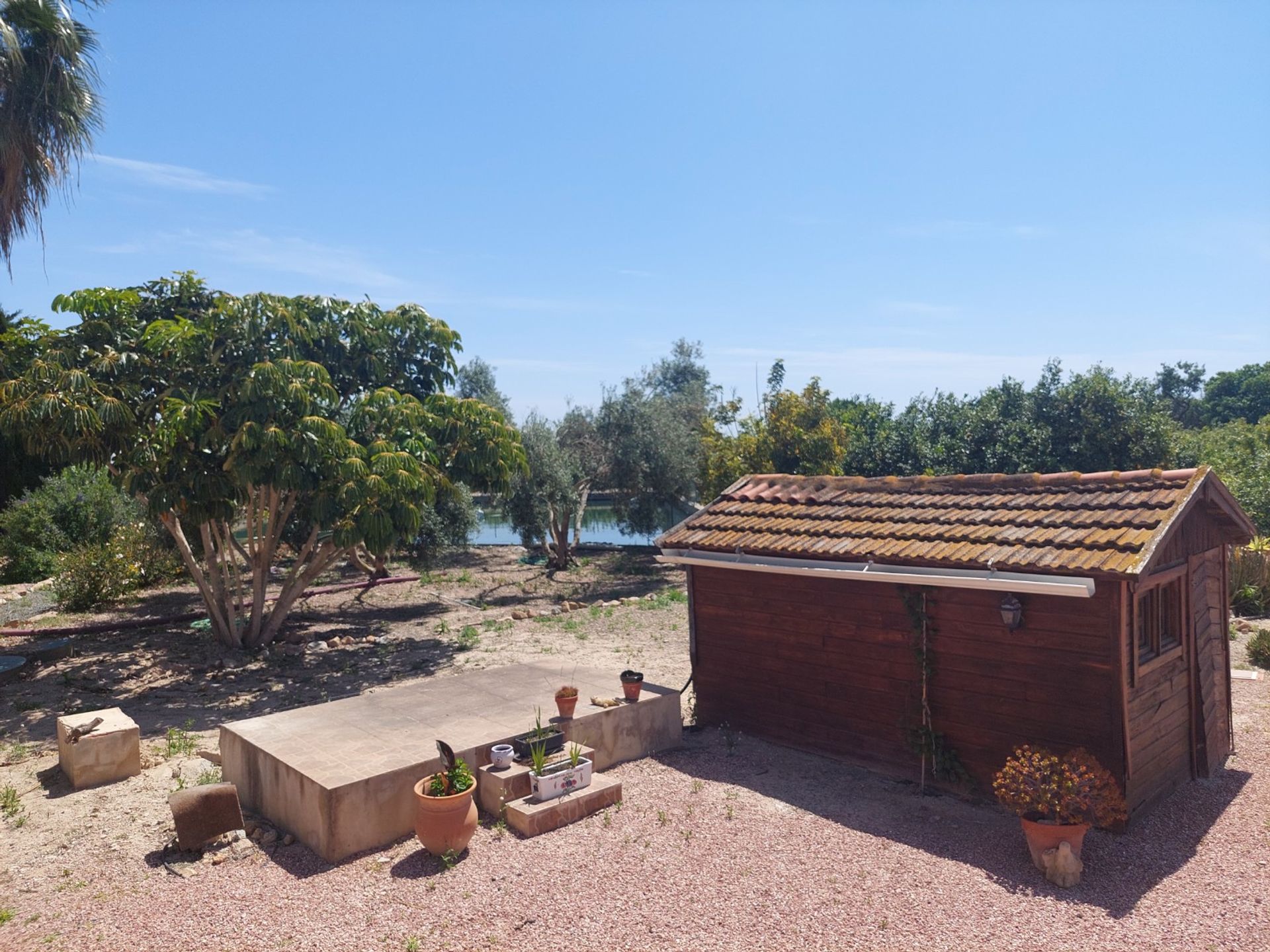 Casa nel San Miguel de Salinas, Valencian Community 11363799