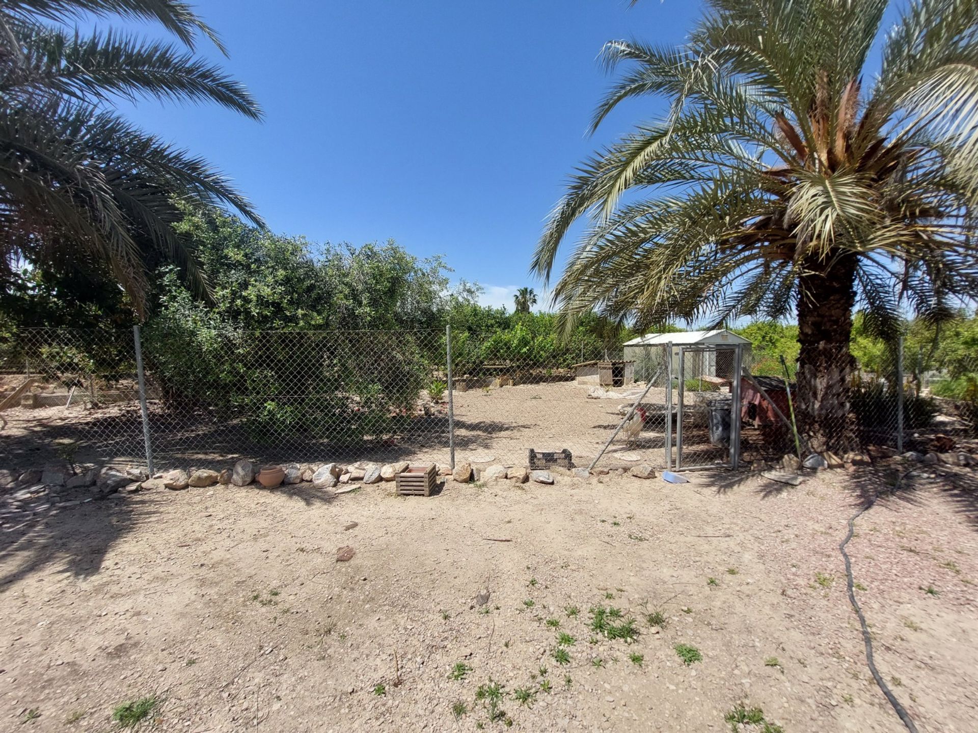 Casa nel San Miguel de Salinas, Valencian Community 11363799