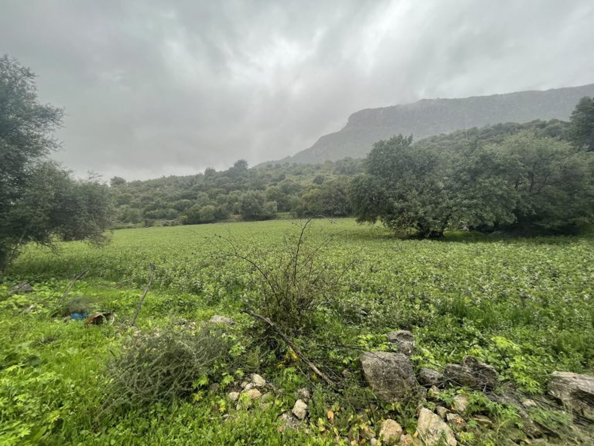 Hus i Montecorto, Andalucía 11365557