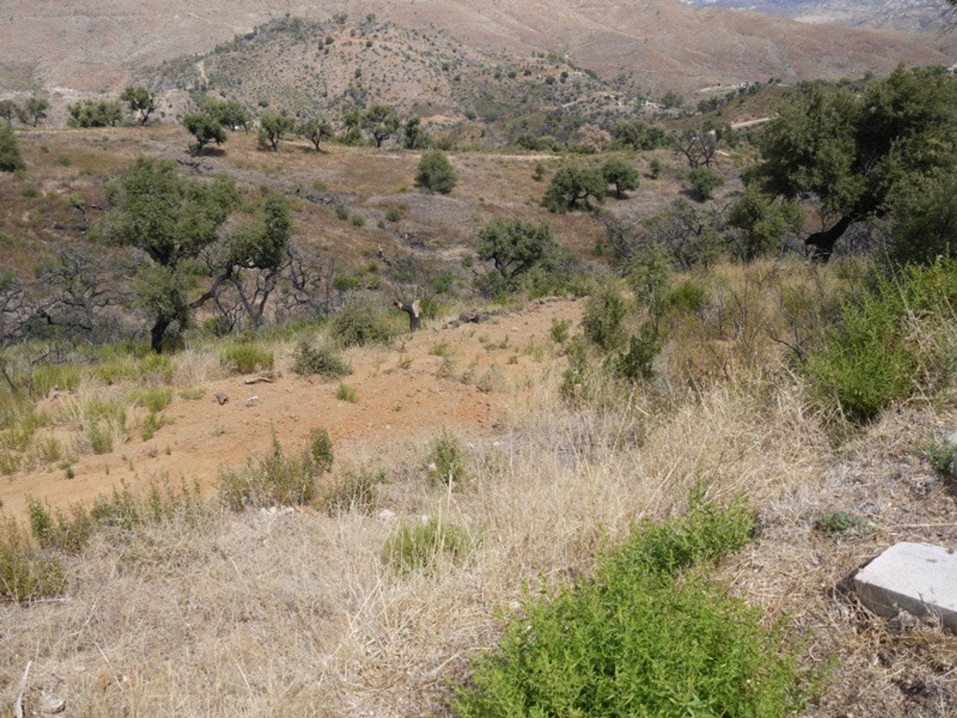 Tanah di Ojen, Andalusia 11365666