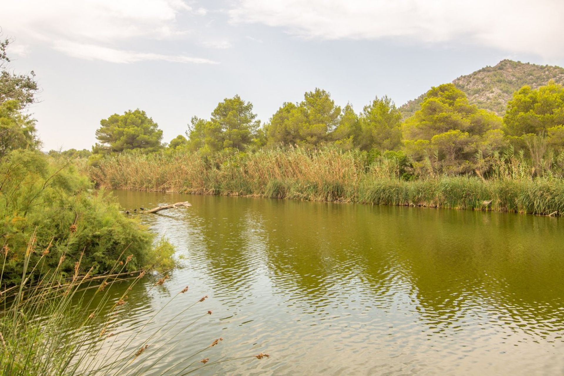 Condominium in Capdepera, Balearic Islands 11365729