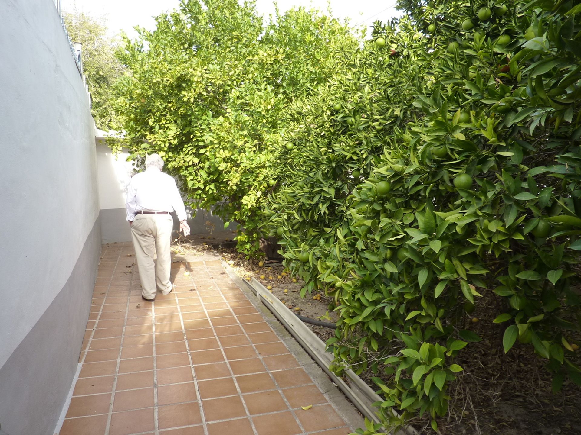 rumah dalam Calasparra, Región de Murcia 11366323