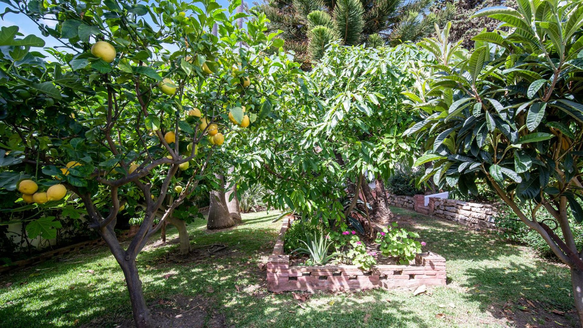 casa no Estepona, Andalucía 11367364