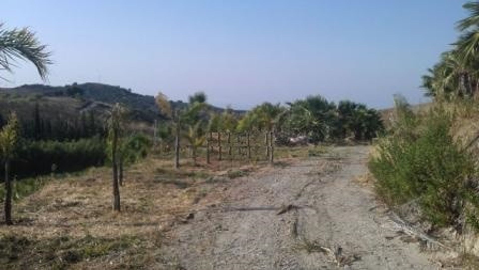 Land in Estepona, Andalucía 11367776