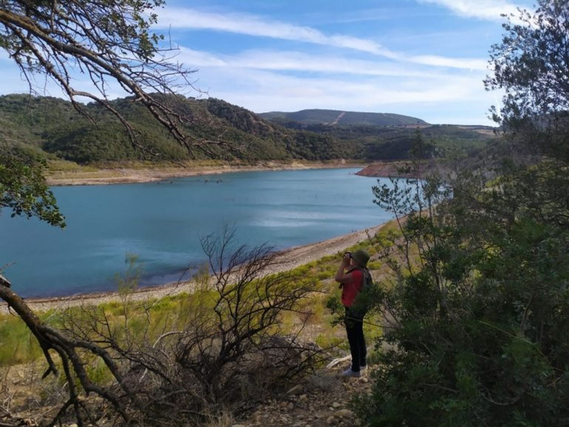 Tierra en Algar, Andalucía 11367813