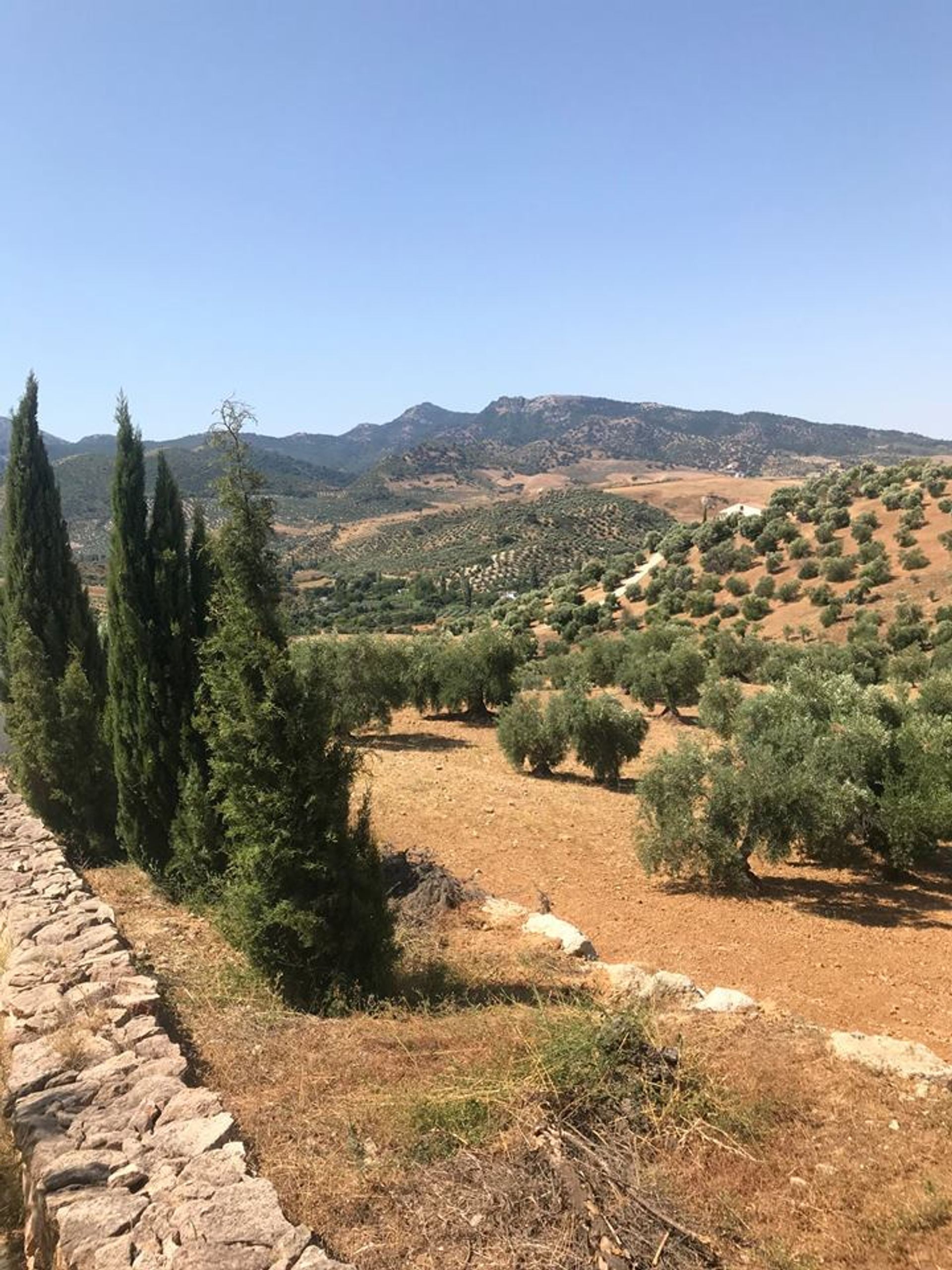 Huis in Algodonales, Andalucía 11367848