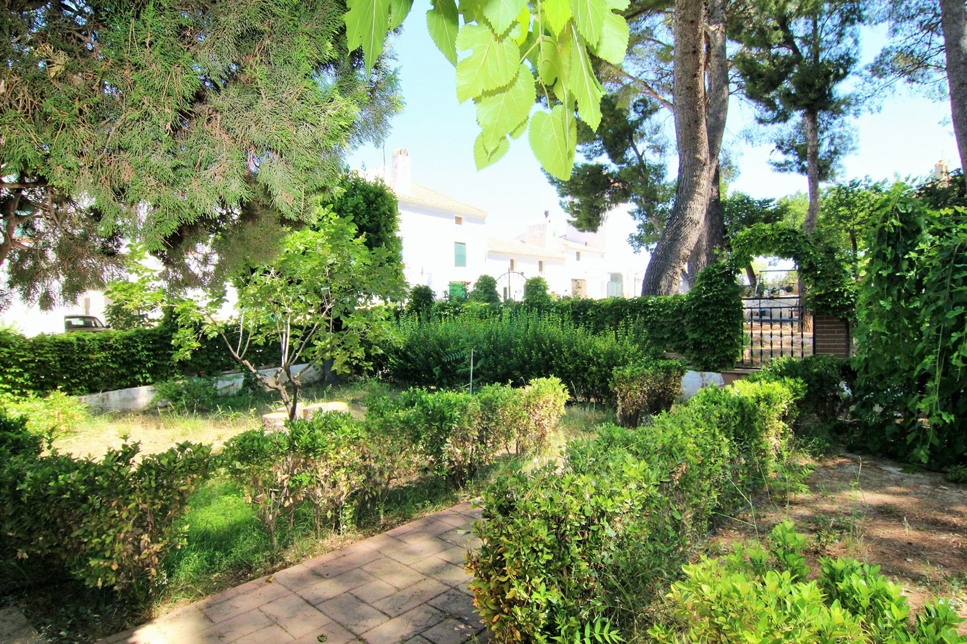 House in Yecla, Región de Murcia 11367922